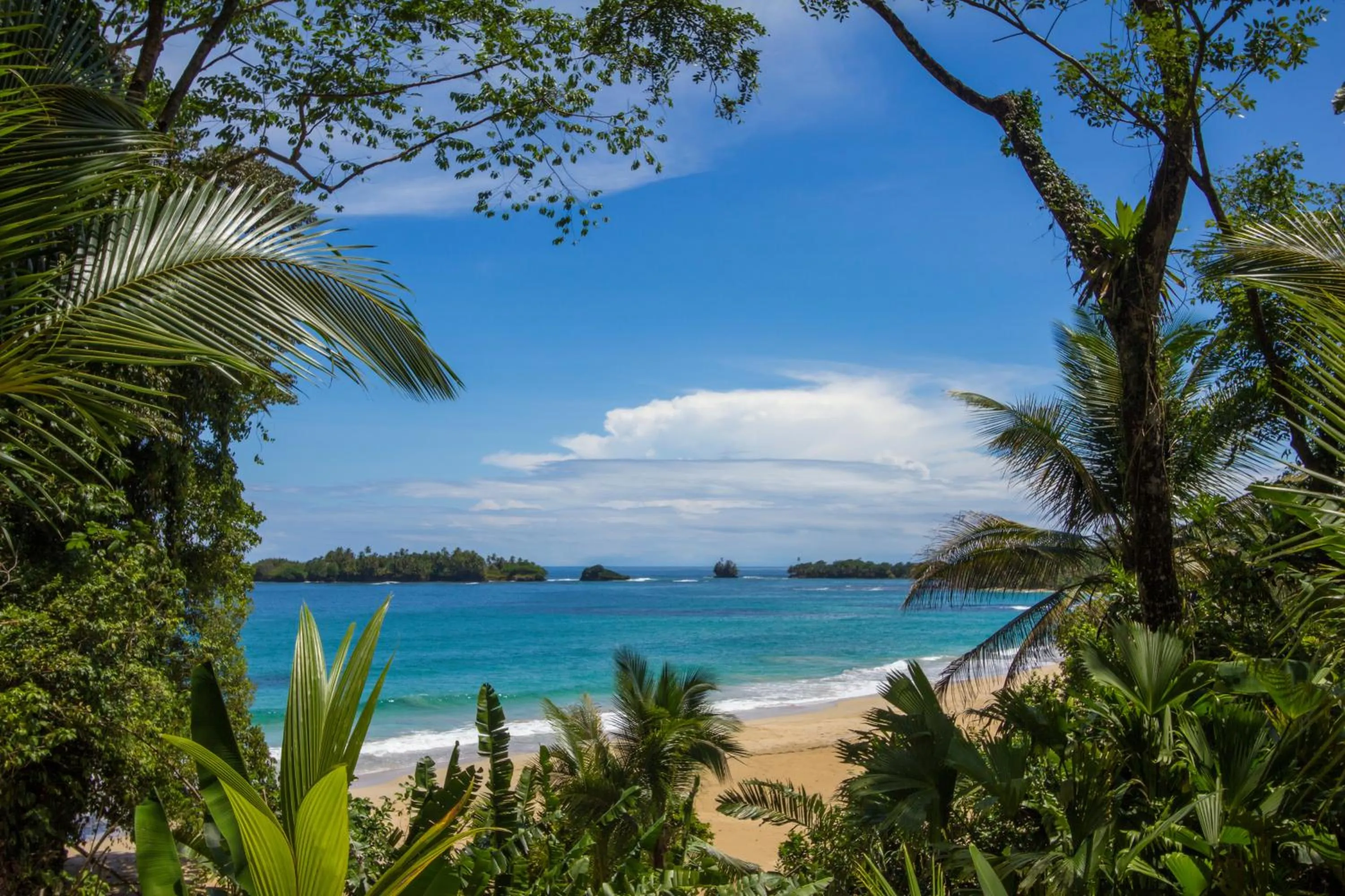 Natural landscape in Red Frog Beach Island Resort