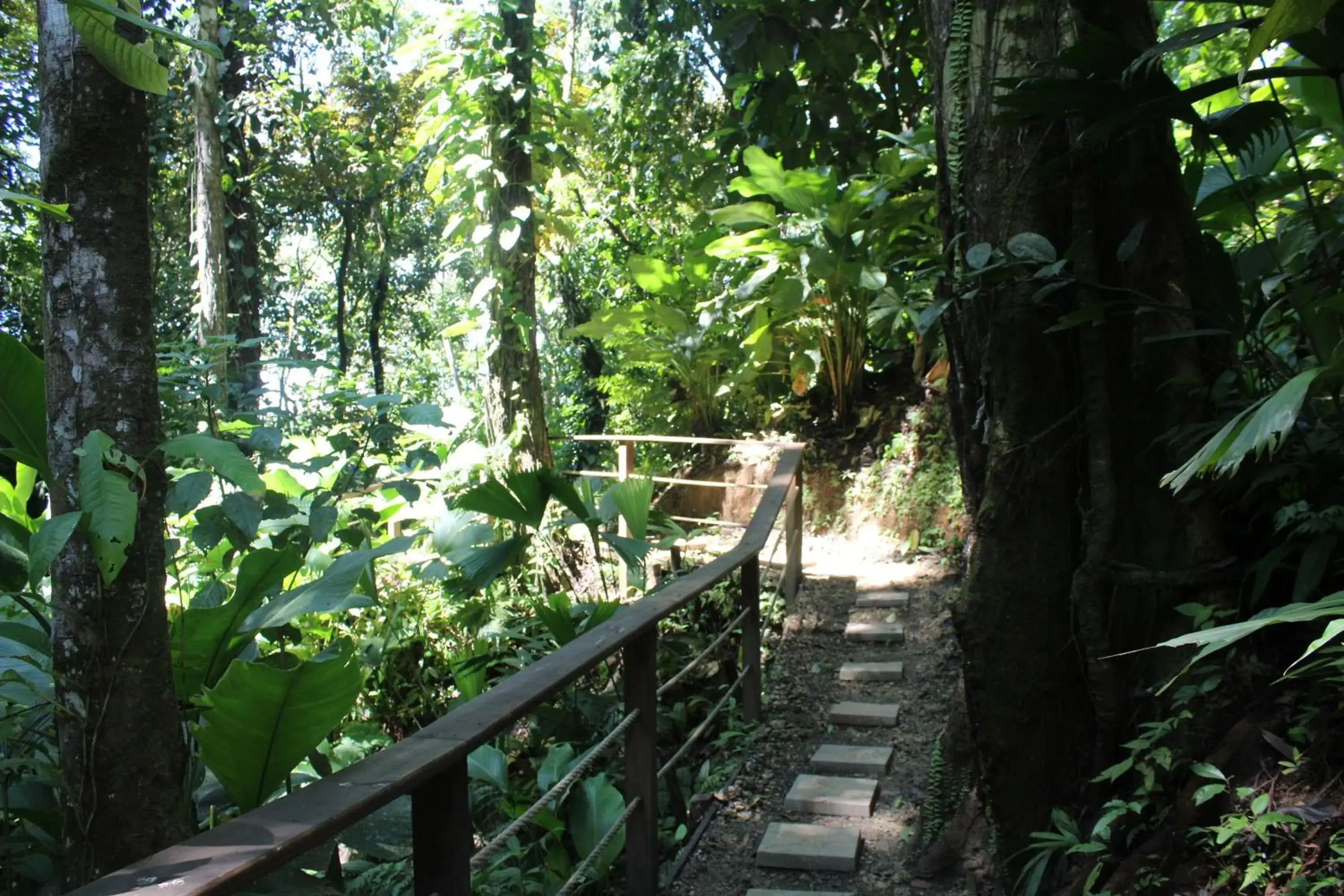 Spa and wellness centre/facilities in Red Frog Beach Island Resort Spa and wellness centre/facilities in Red Frog Beach Island Resort