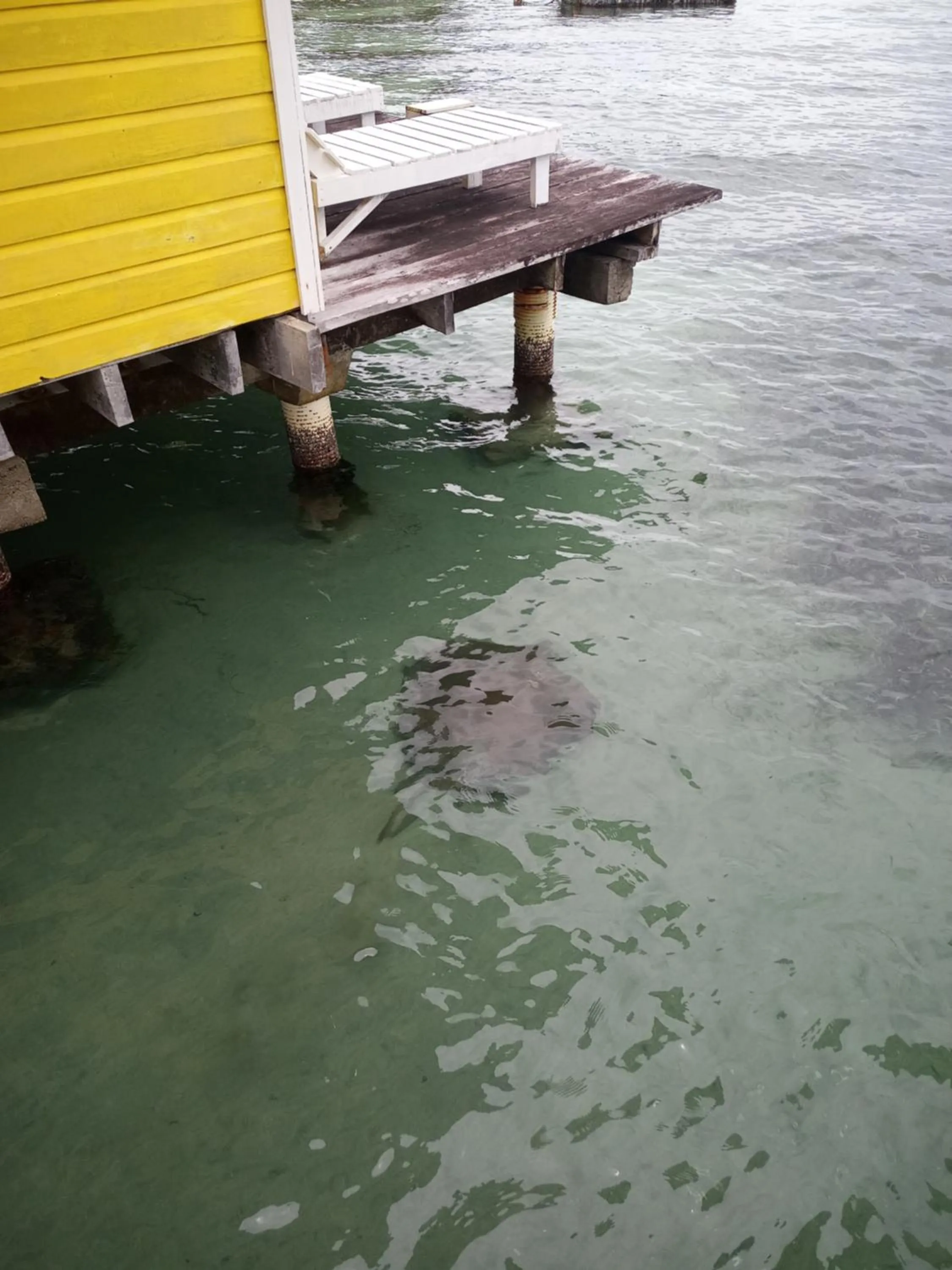 Sea view in Faro del Colibri