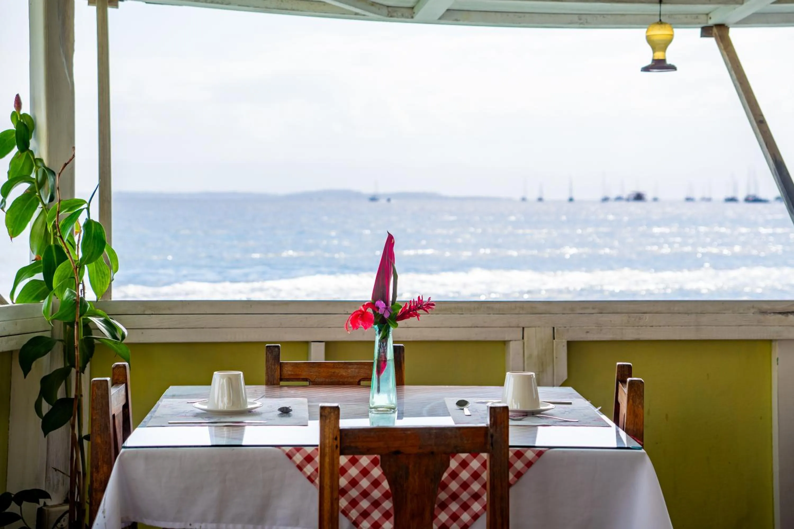 Restaurant/places to eat in Faro del Colibri