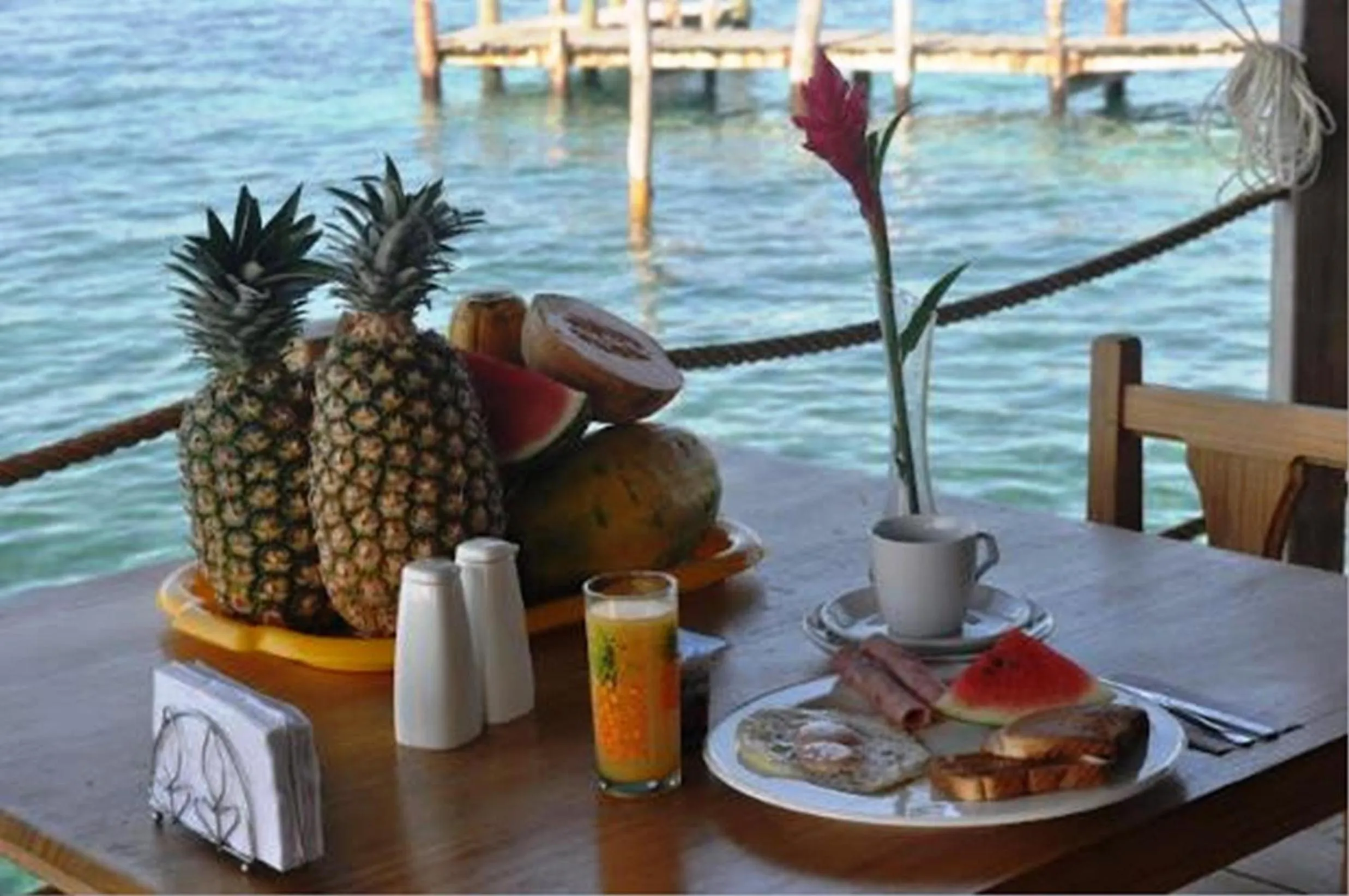 Restaurant/places to eat in Faro del Colibri