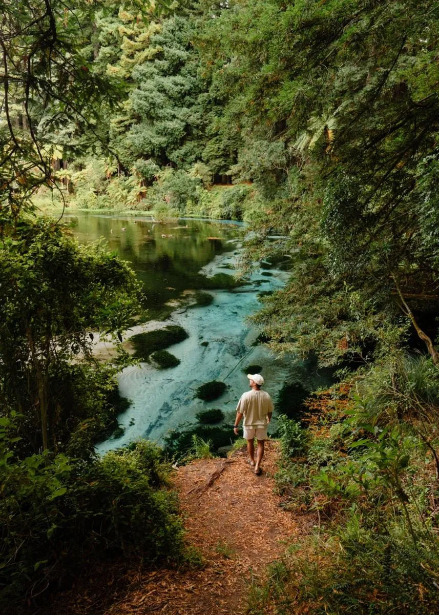 Tasman Holiday Parks - Rotorua