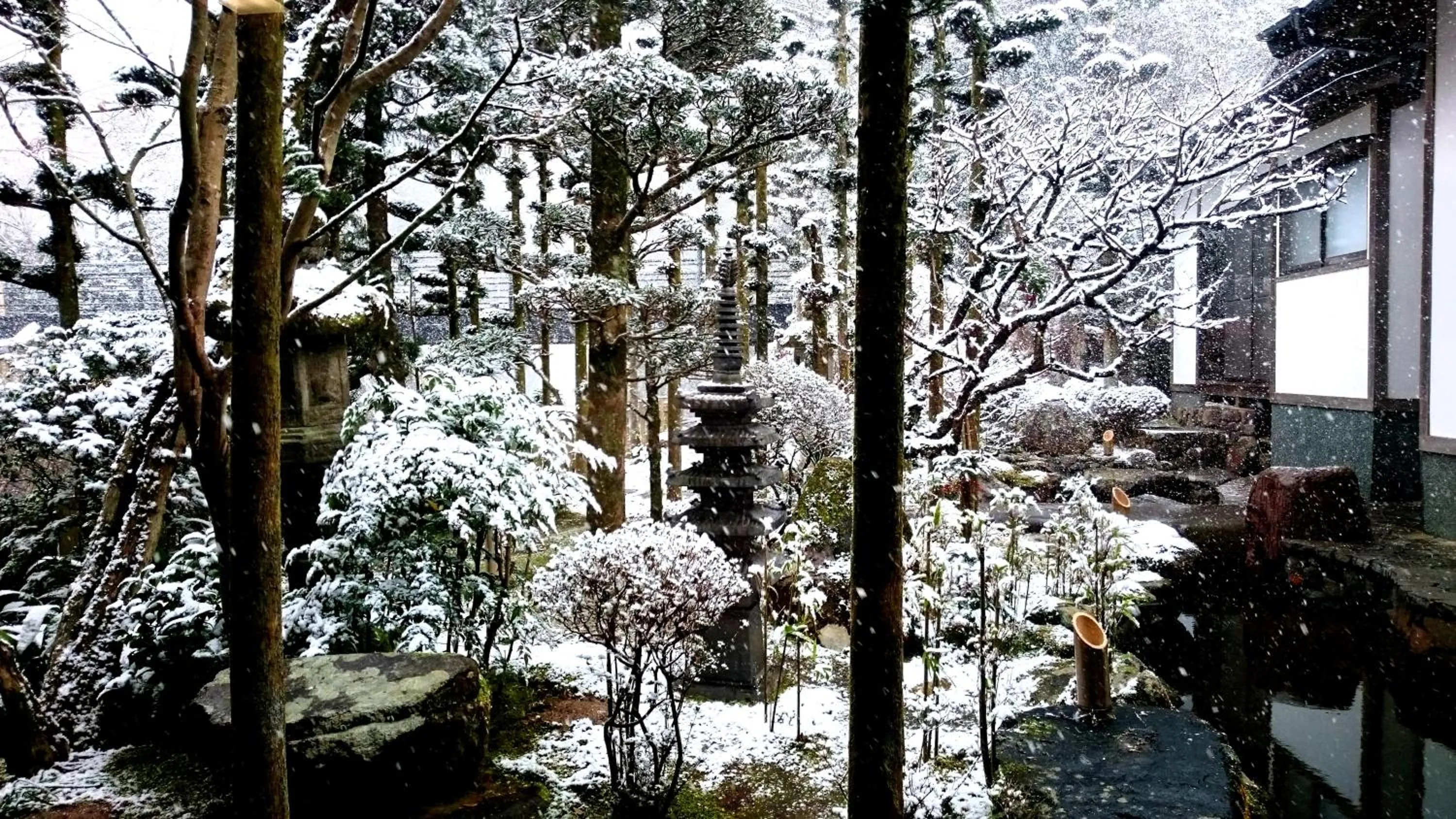 Winter in Beppu Showaen