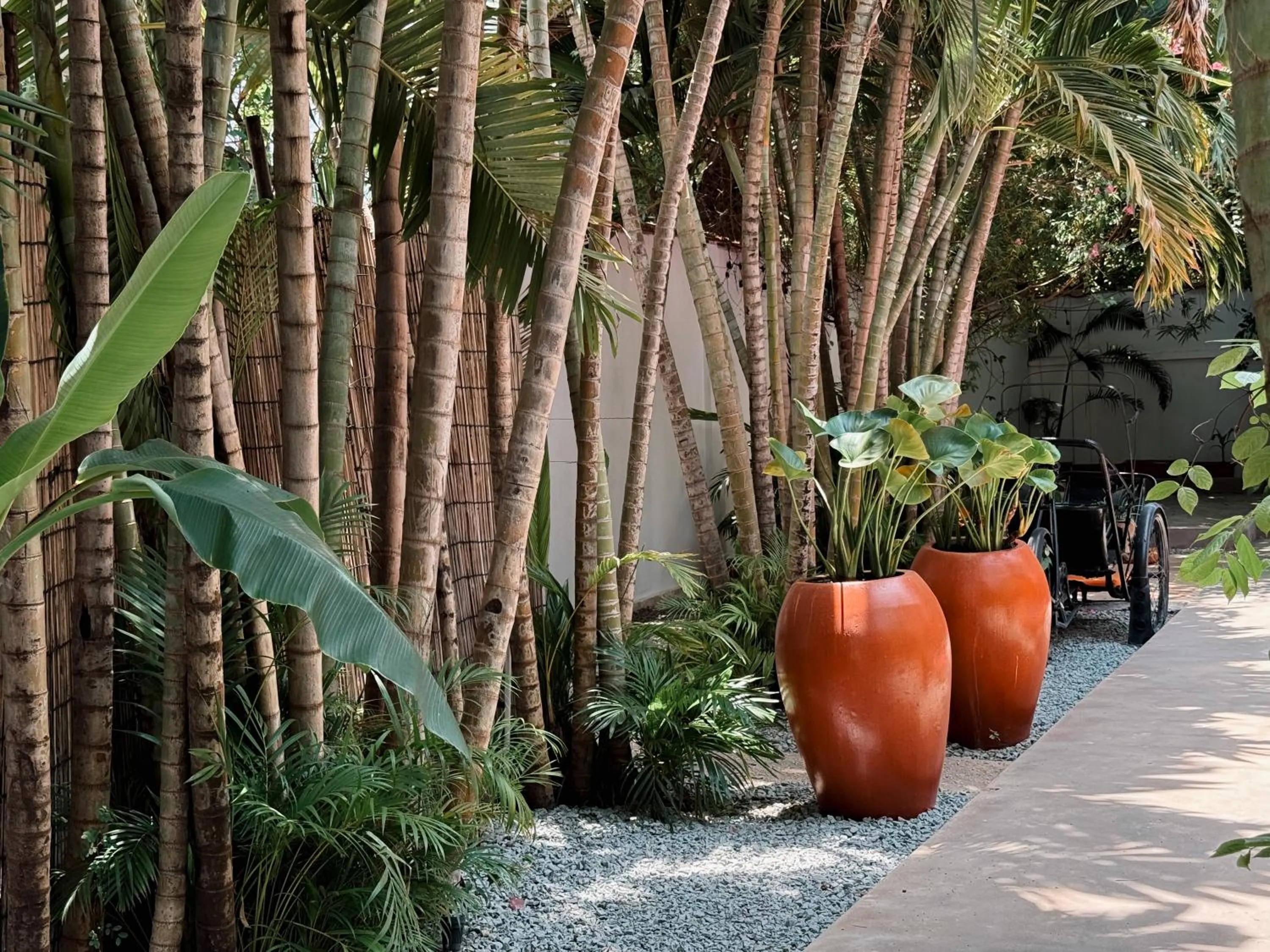 Garden in Maison 557