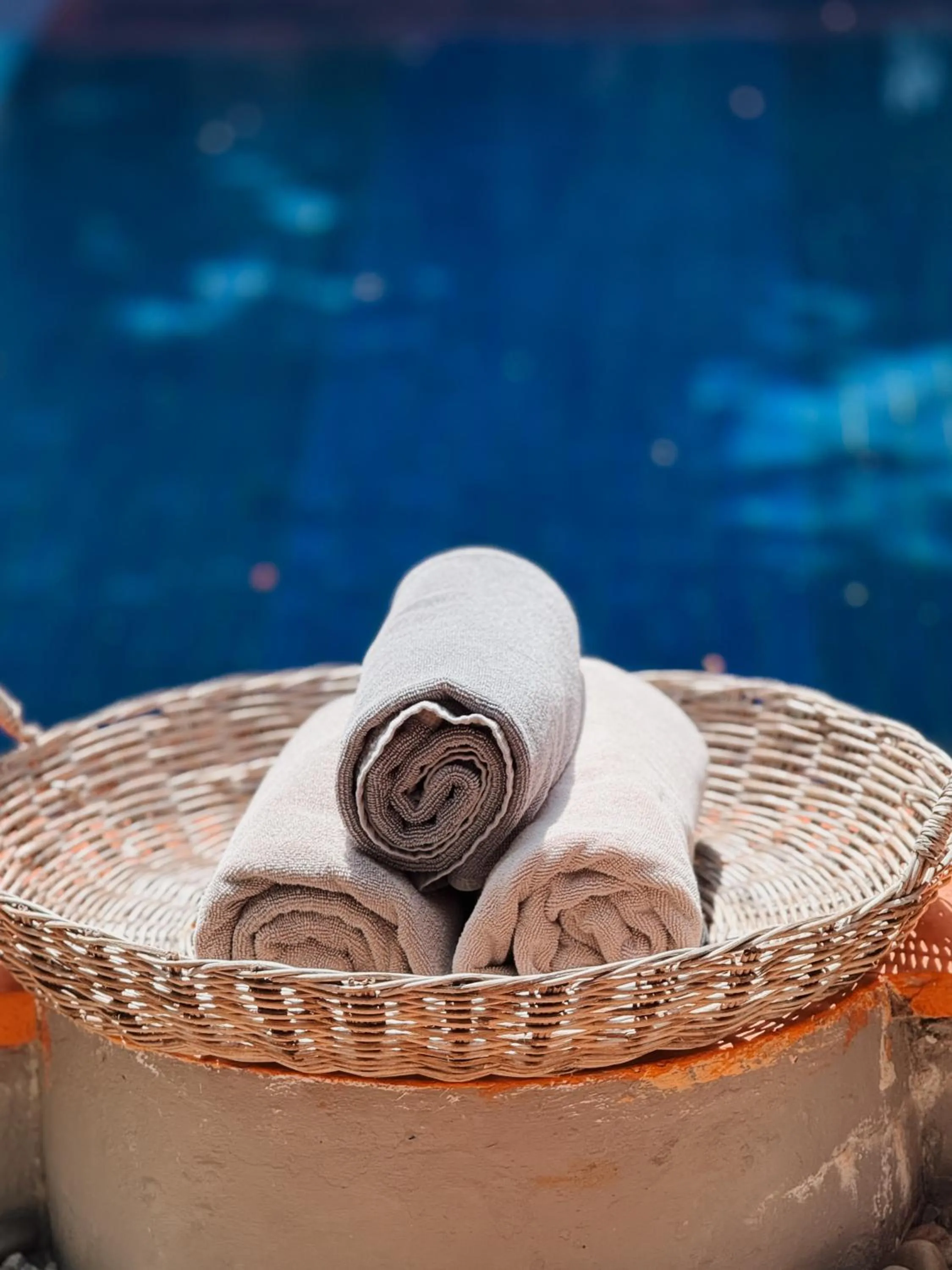 Swimming pool in Maison 557