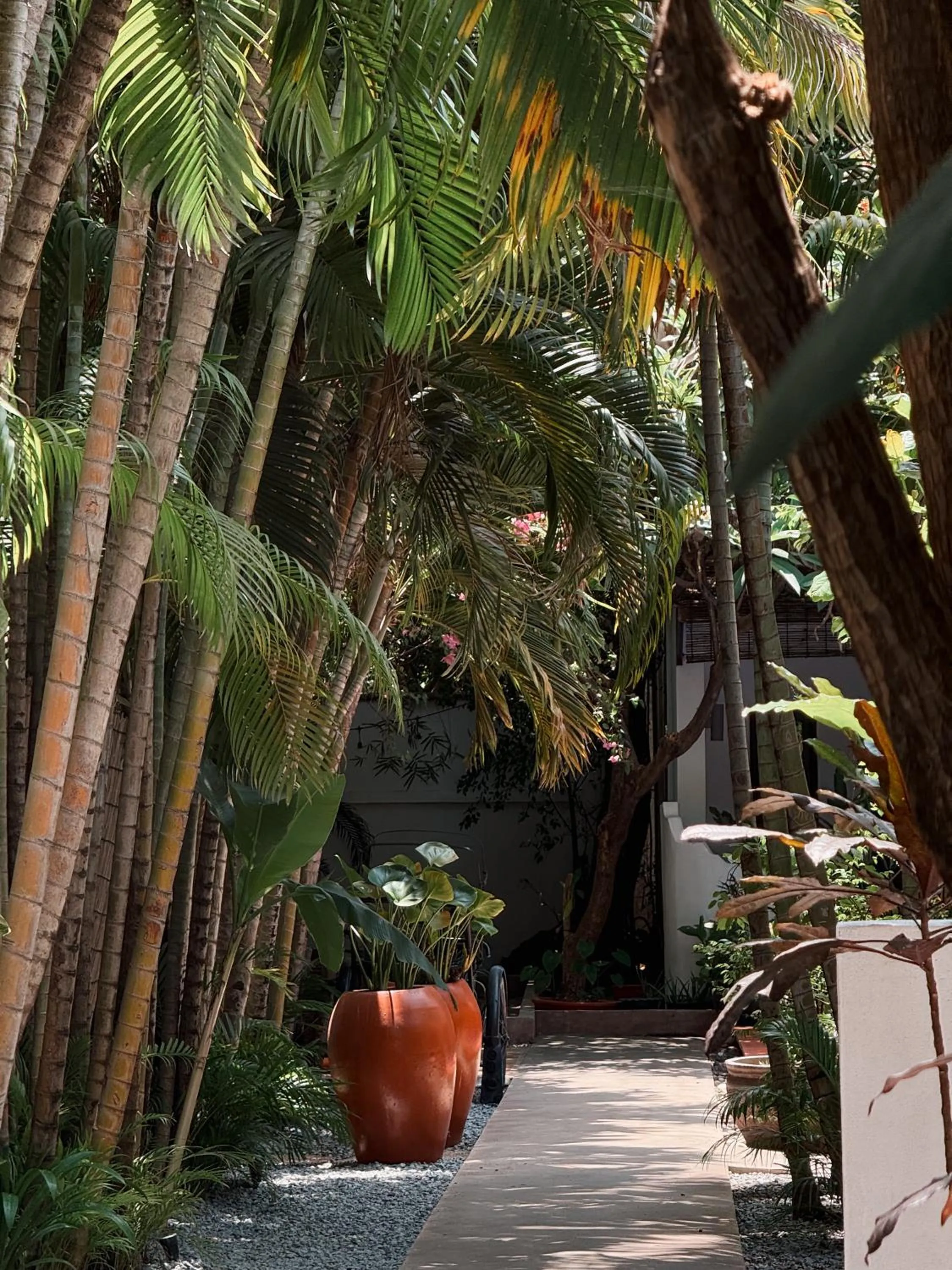 Garden in Maison 557