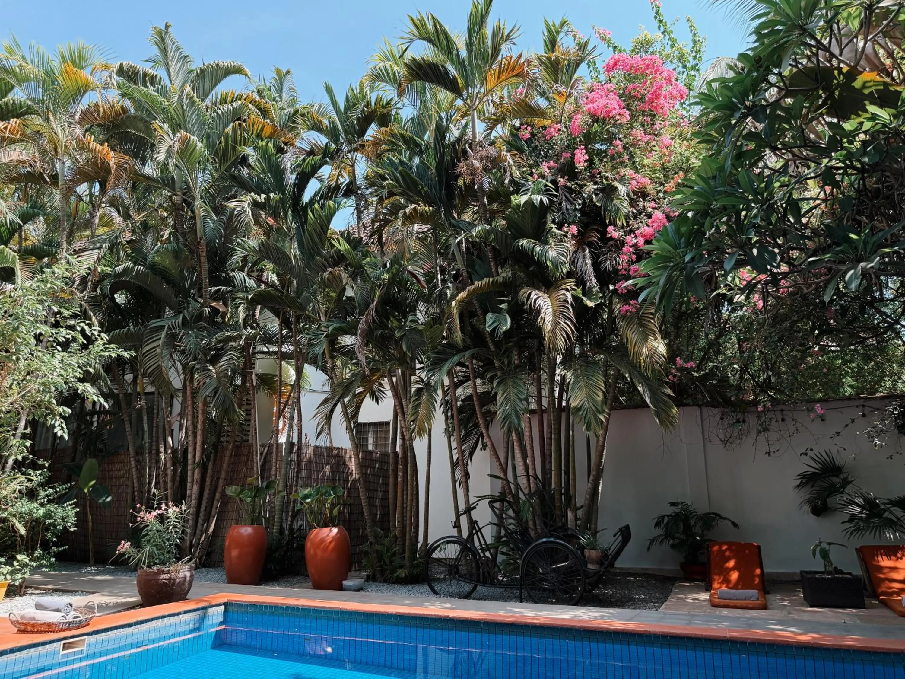 Garden in Maison 557