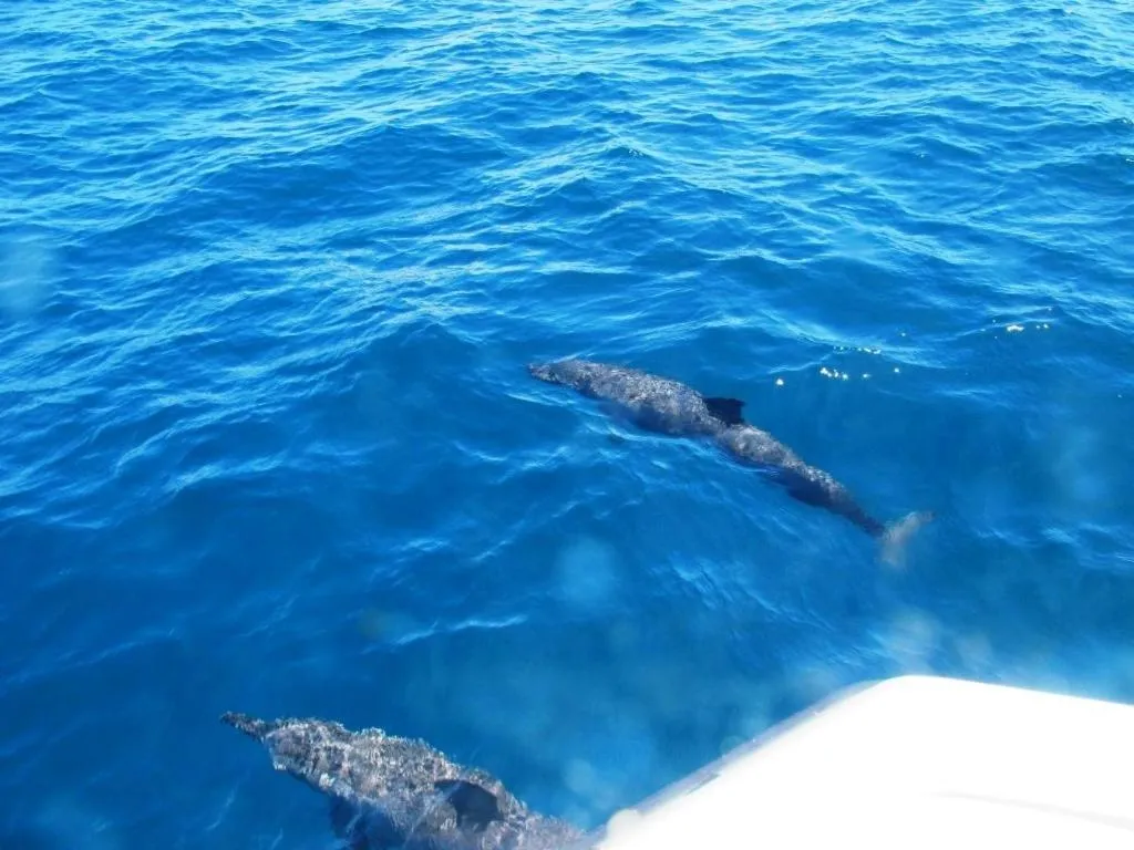 Staff in Binucot Beach Resort