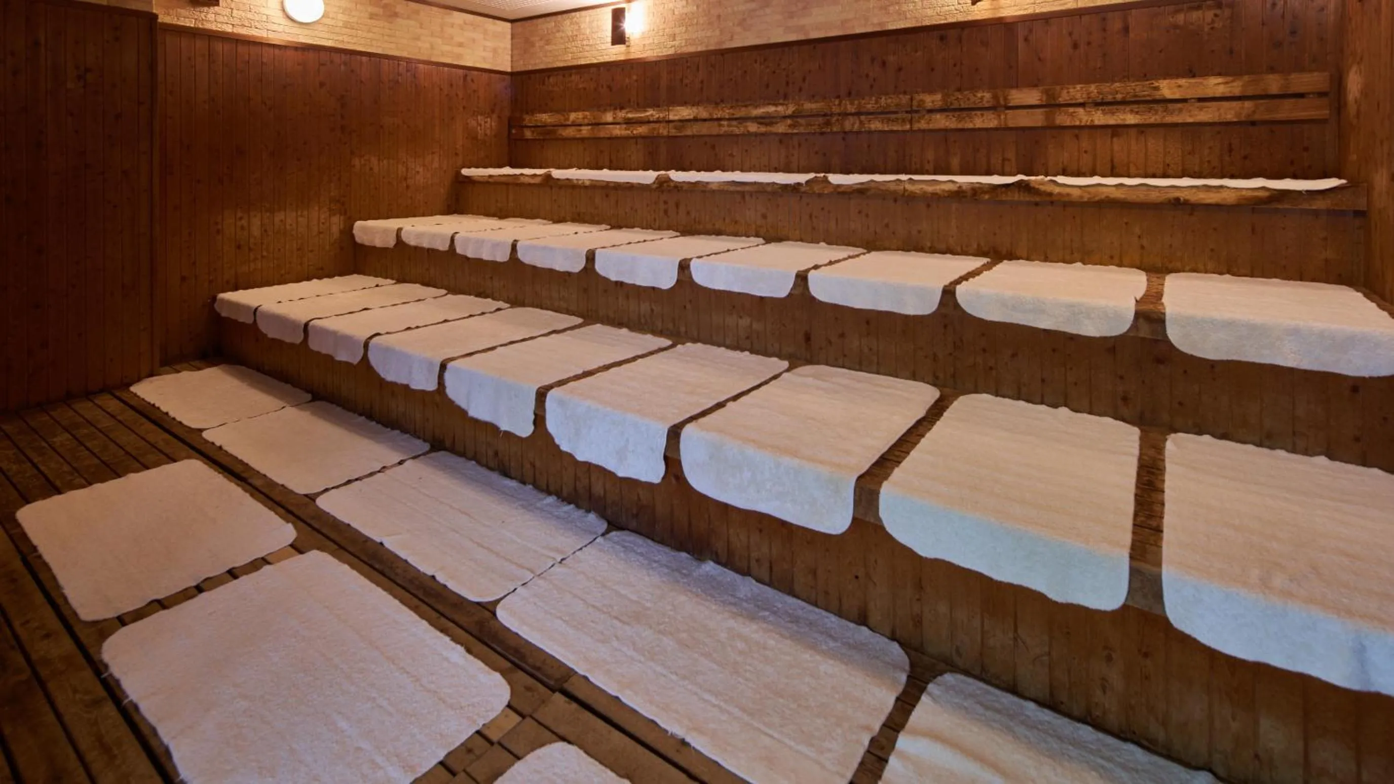 Sauna in Aso Baien Spa Resort