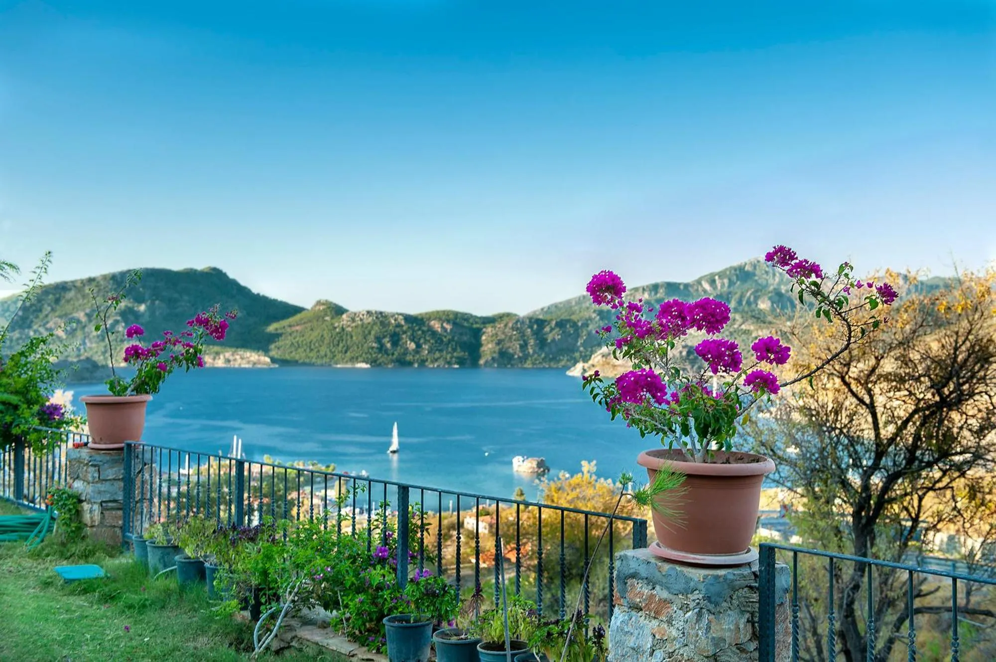 Garden in Swan Lake Hotel - Adult Only