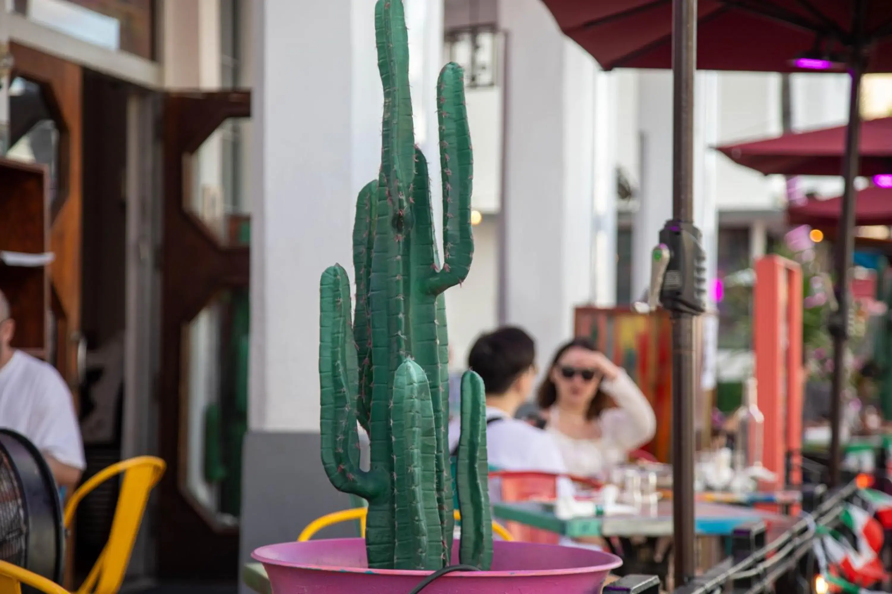 Restaurant/places to eat in Whitelaw Hotel Restaurant/places to eat in Whitelaw Hotel