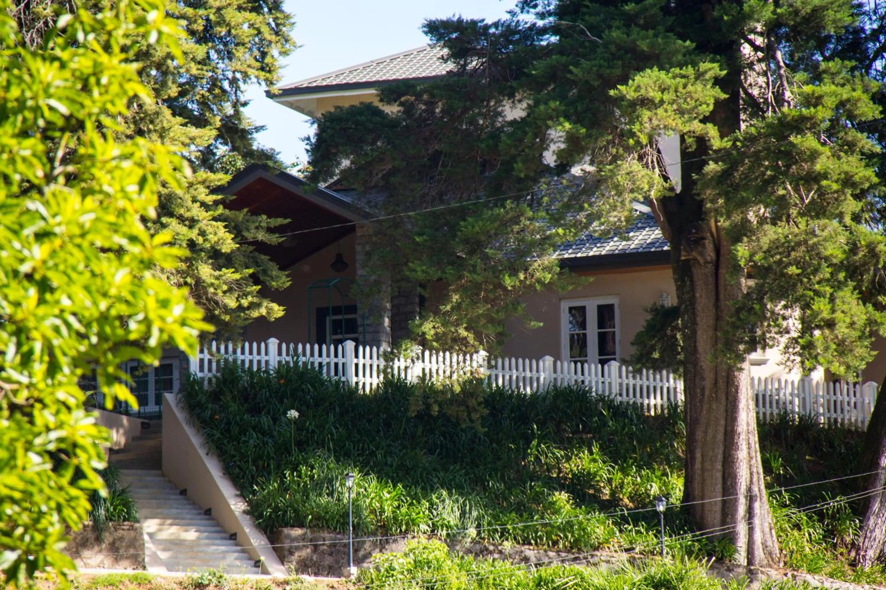 Bird's eye view in The Firs