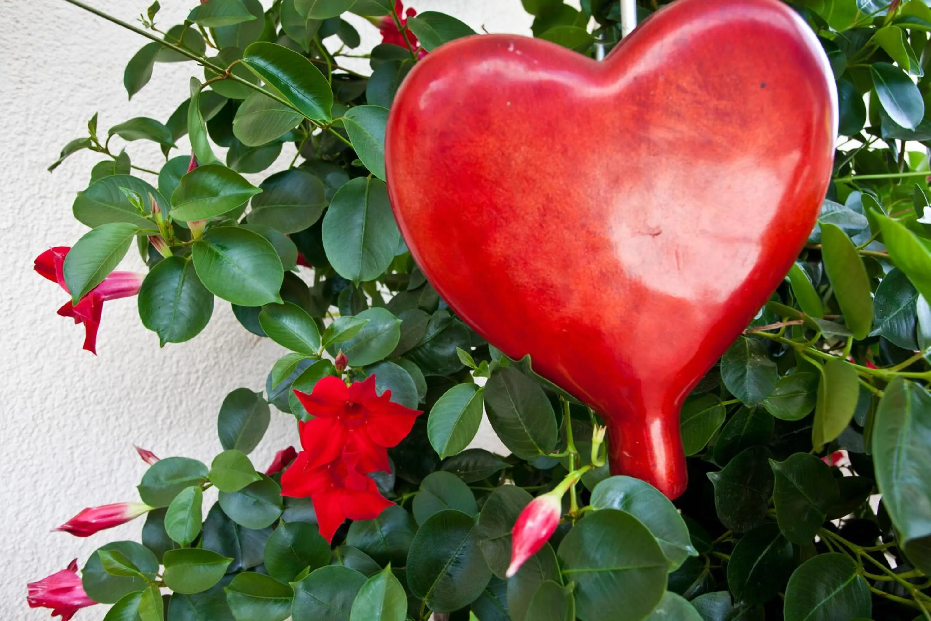 Other in Haus Steinbock