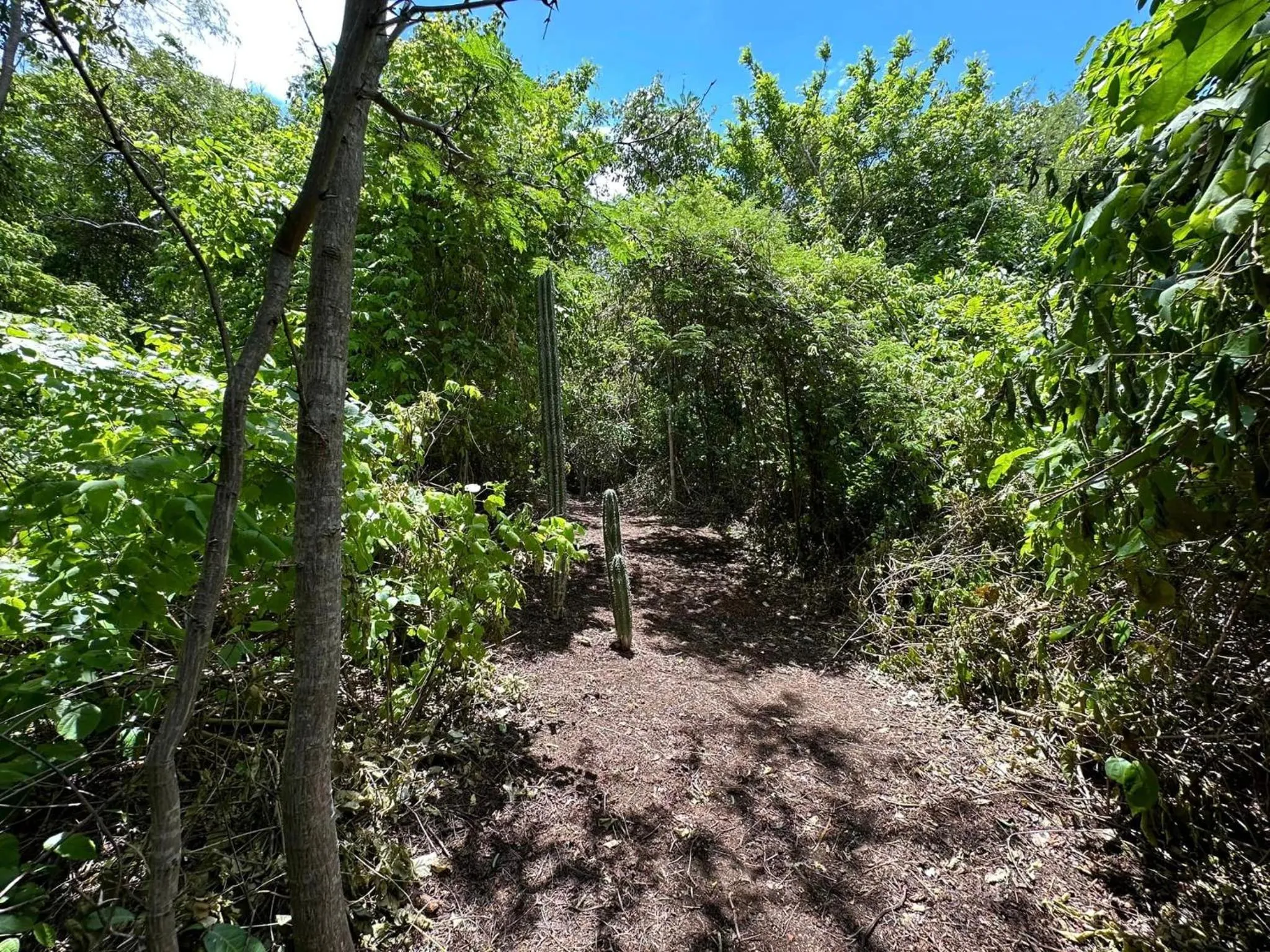 Hiking in Surf Ranch Resort - Popoyo