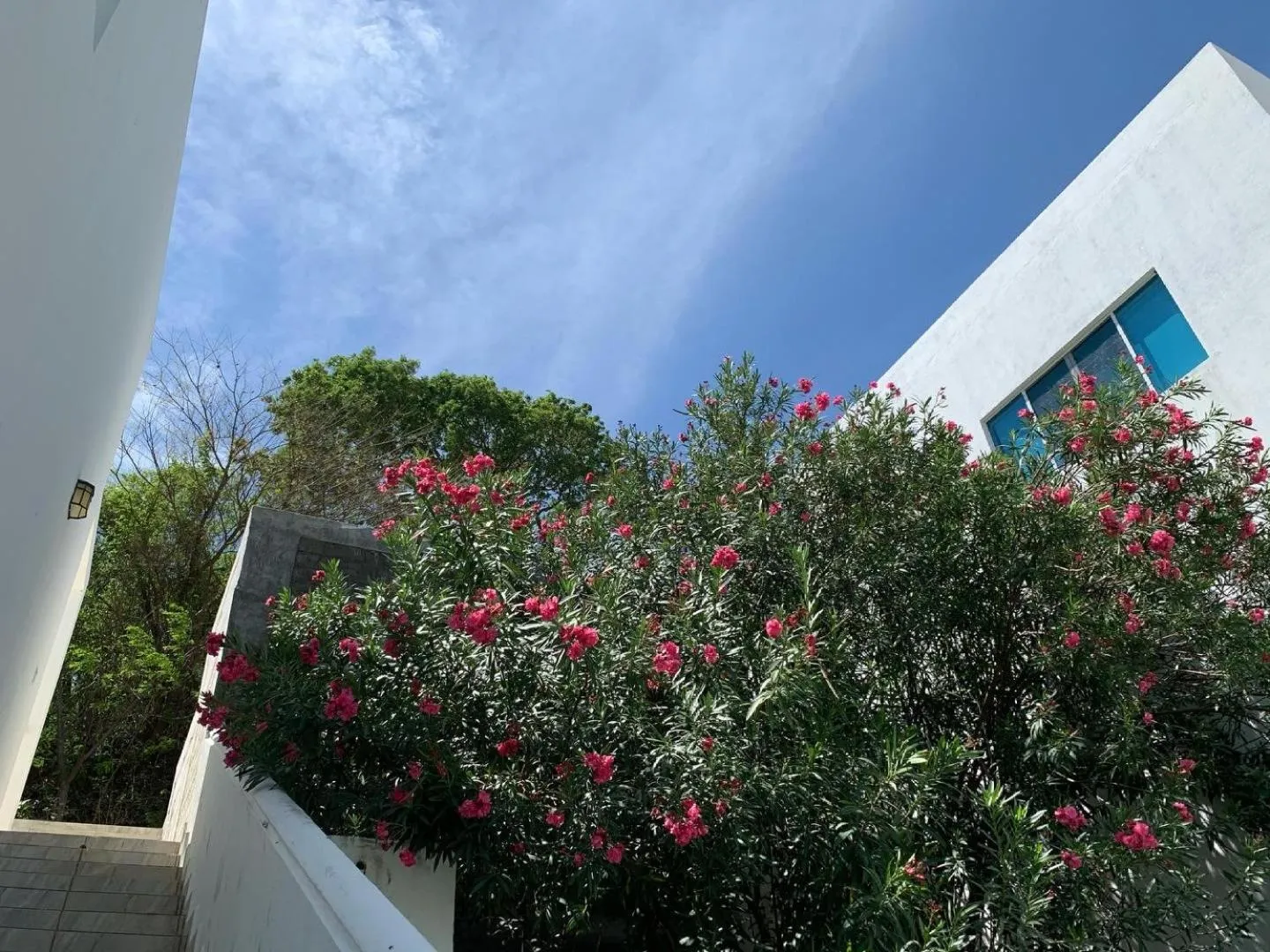 Property building in Surf Ranch Resort - Popoyo