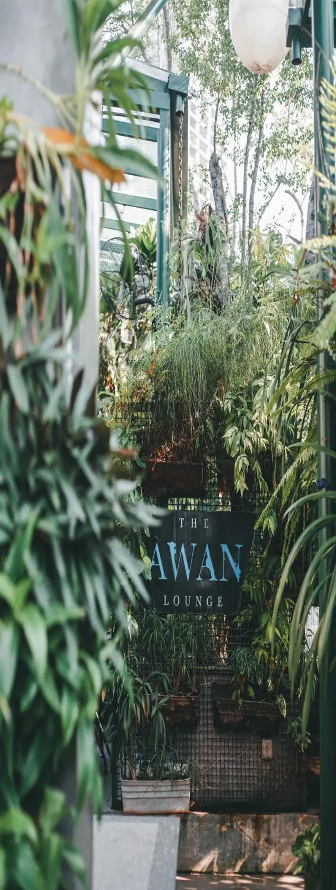 Restaurant/places to eat in Kosenda Hotel Restaurant/places to eat in Kosenda Hotel