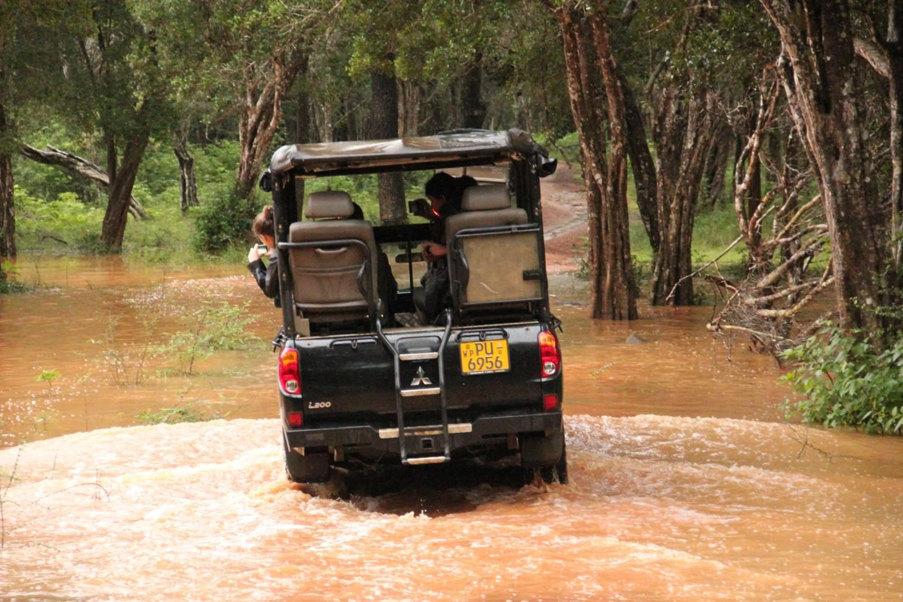 Natural landscape in Big Game - Wilpattu by Eco Team