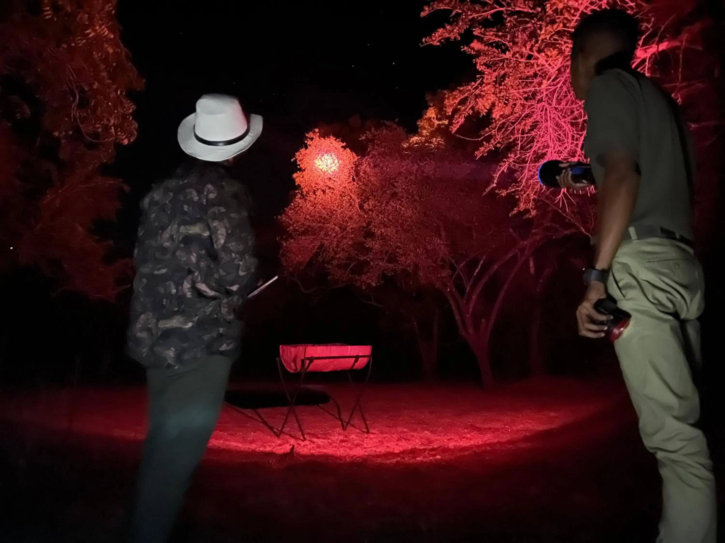 Night in Big Game - Wilpattu by Eco Team