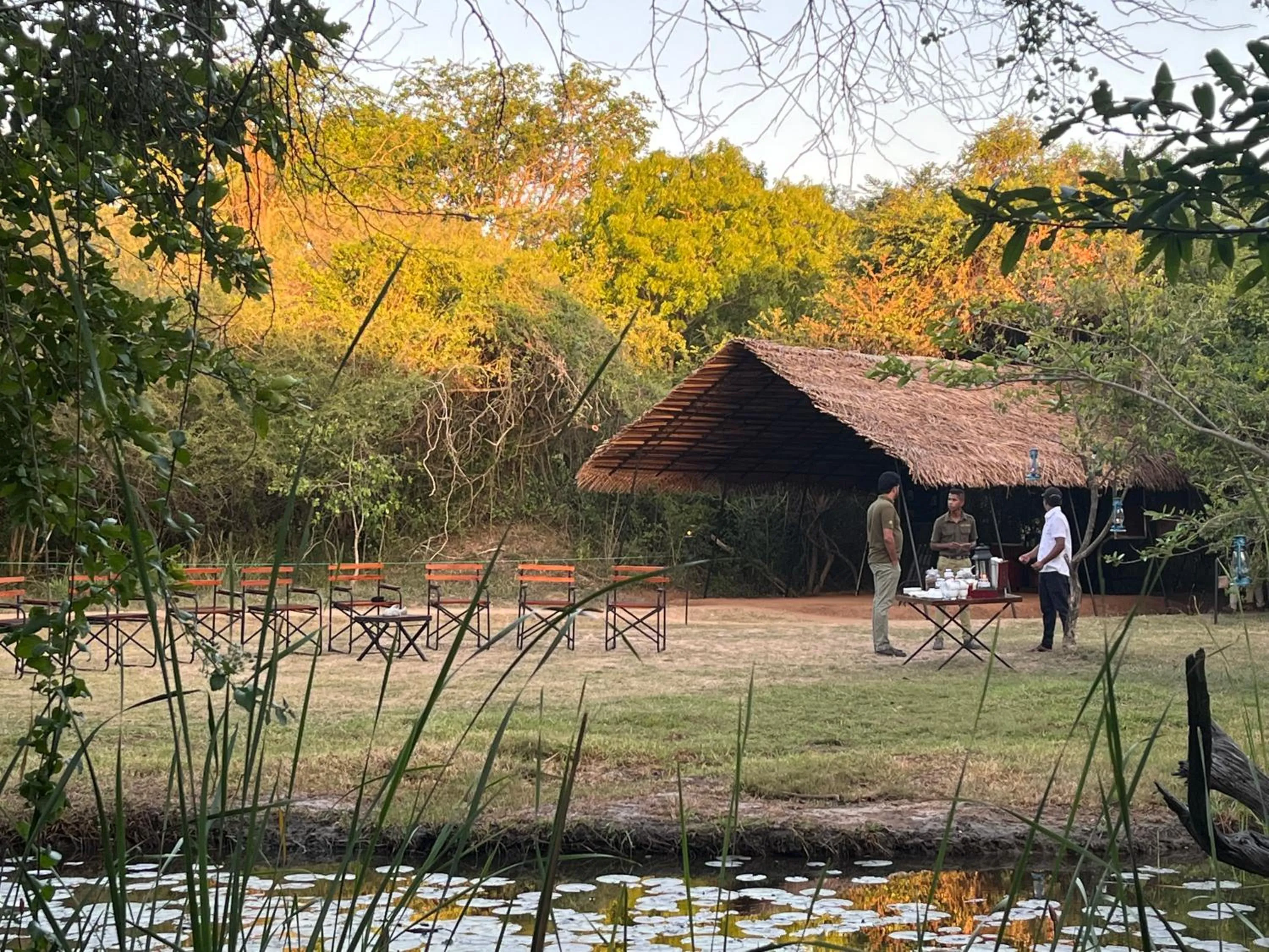 View (from property/room) in Big Game - Wilpattu by Eco Team