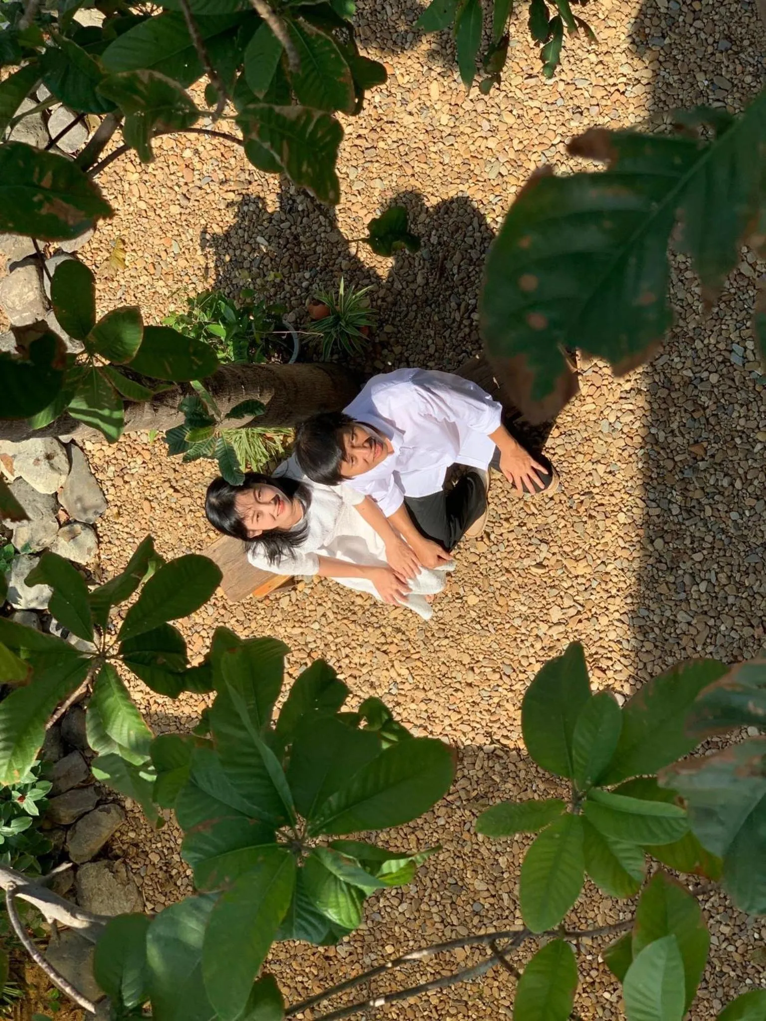 Yellow Farm Homestay at Tuy Hòa Phú Yên