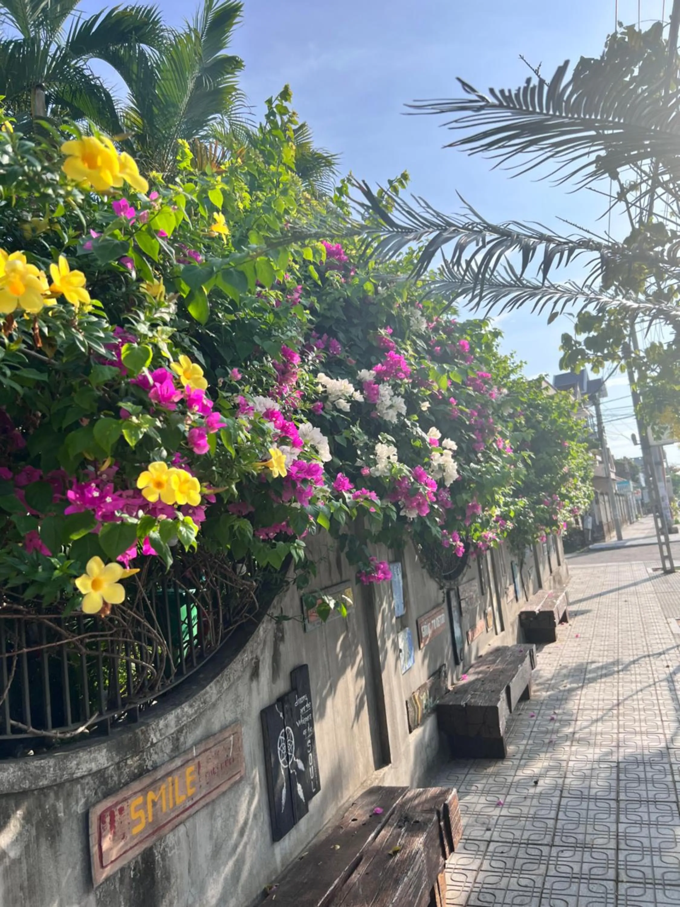 Garden in Yellow Farm Homestay at Tuy Hòa Phú Yên