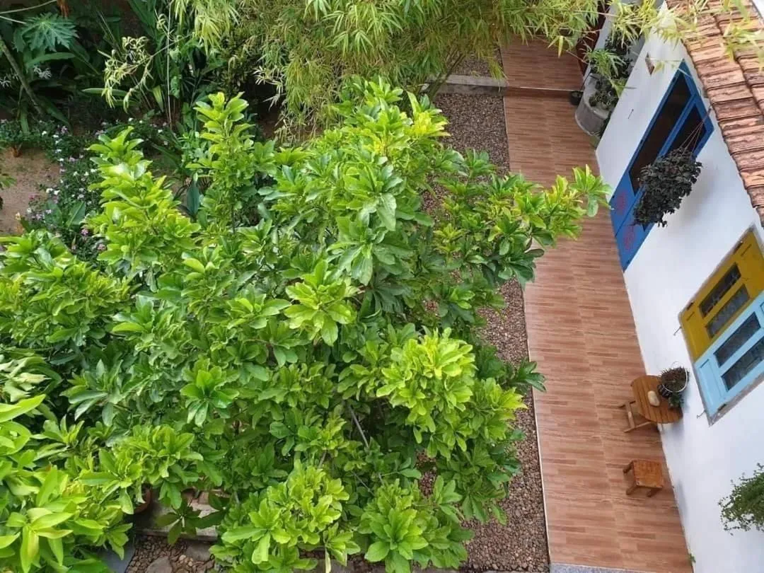 Yellow Farm Homestay at Tuy Hòa Phú Yên