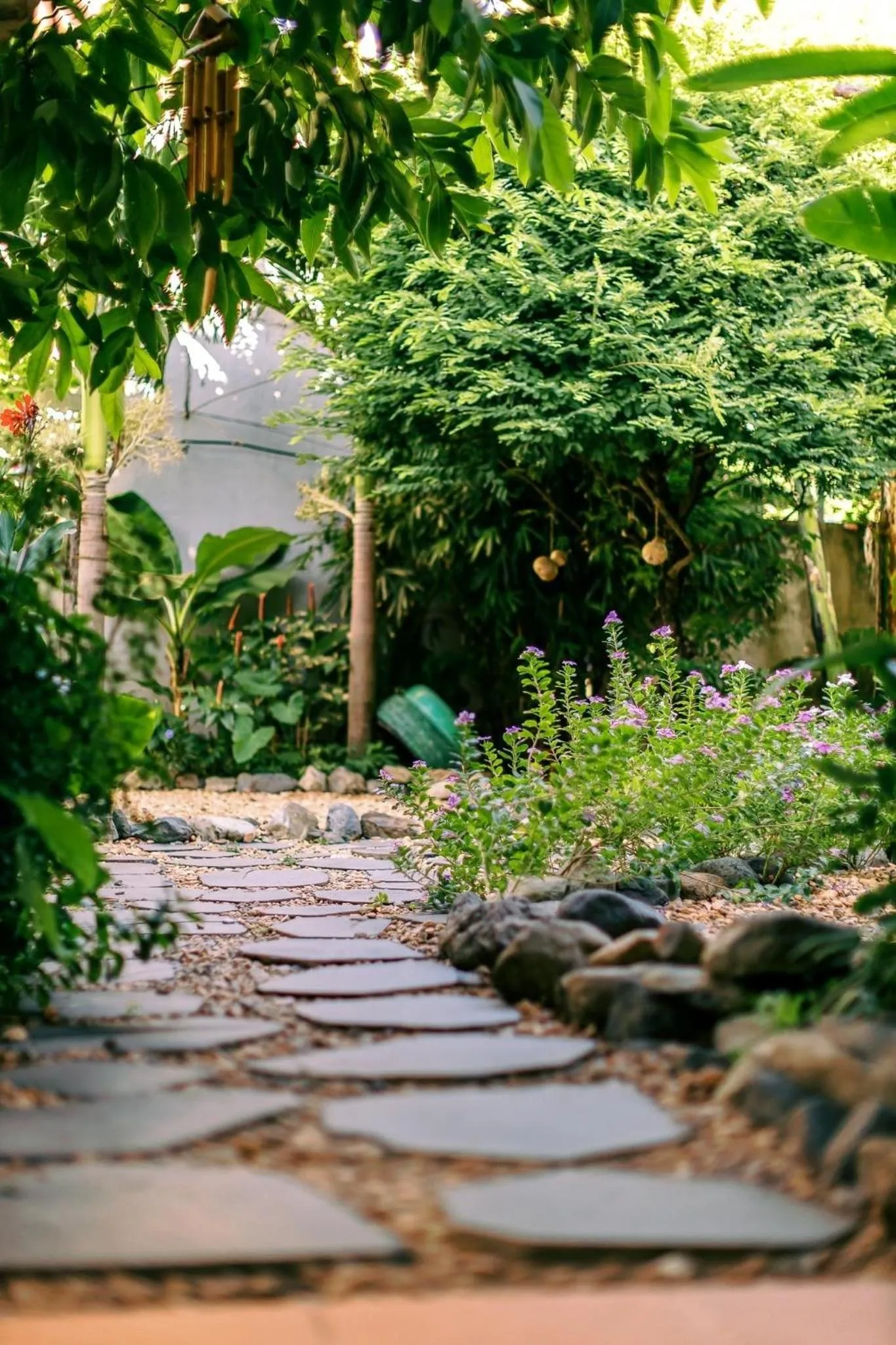 Garden view in Yellow Farm Homestay at Tuy Hòa Phú Yên
