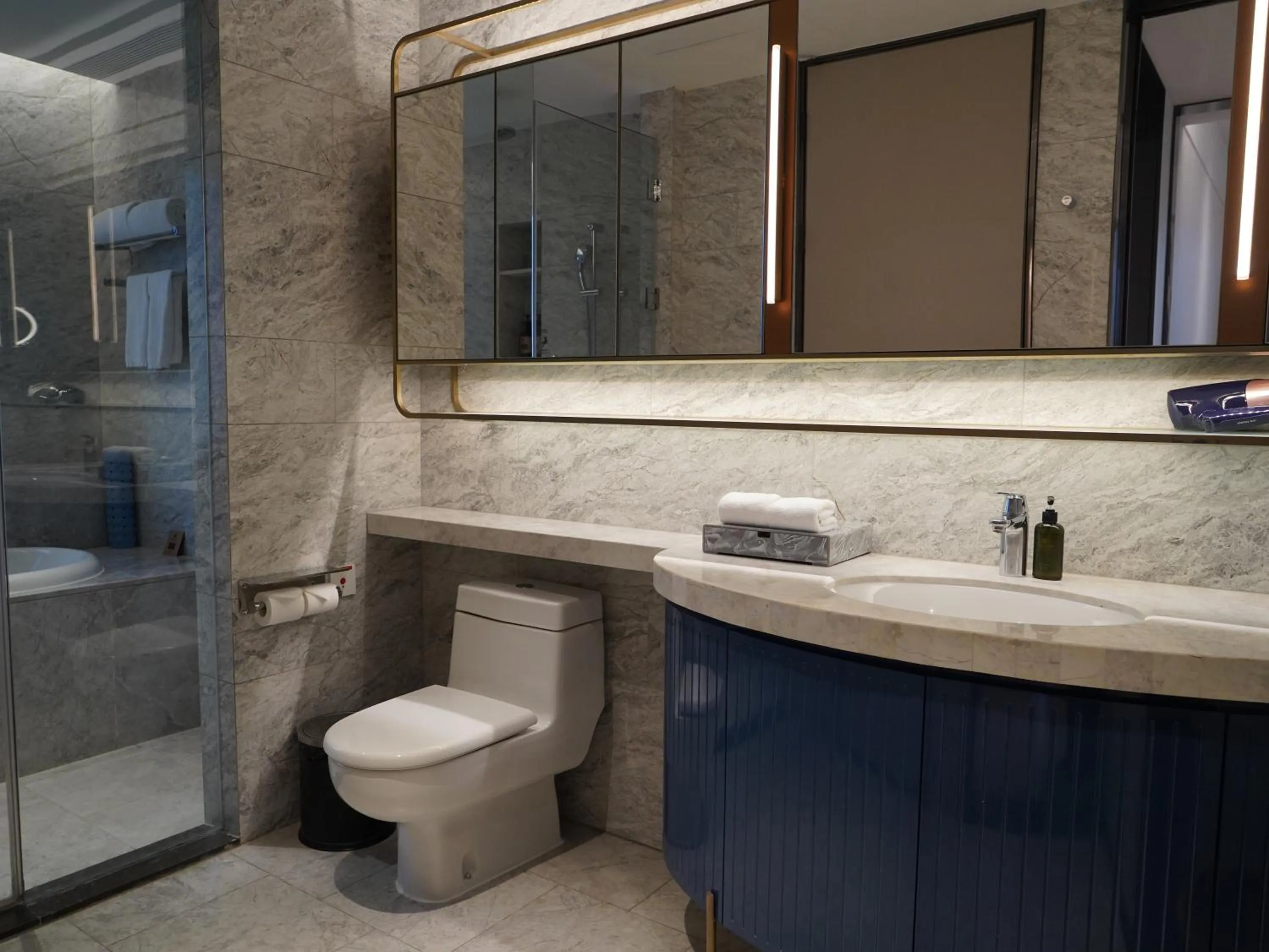 Toilet in Ascott Raffles City Chongqing