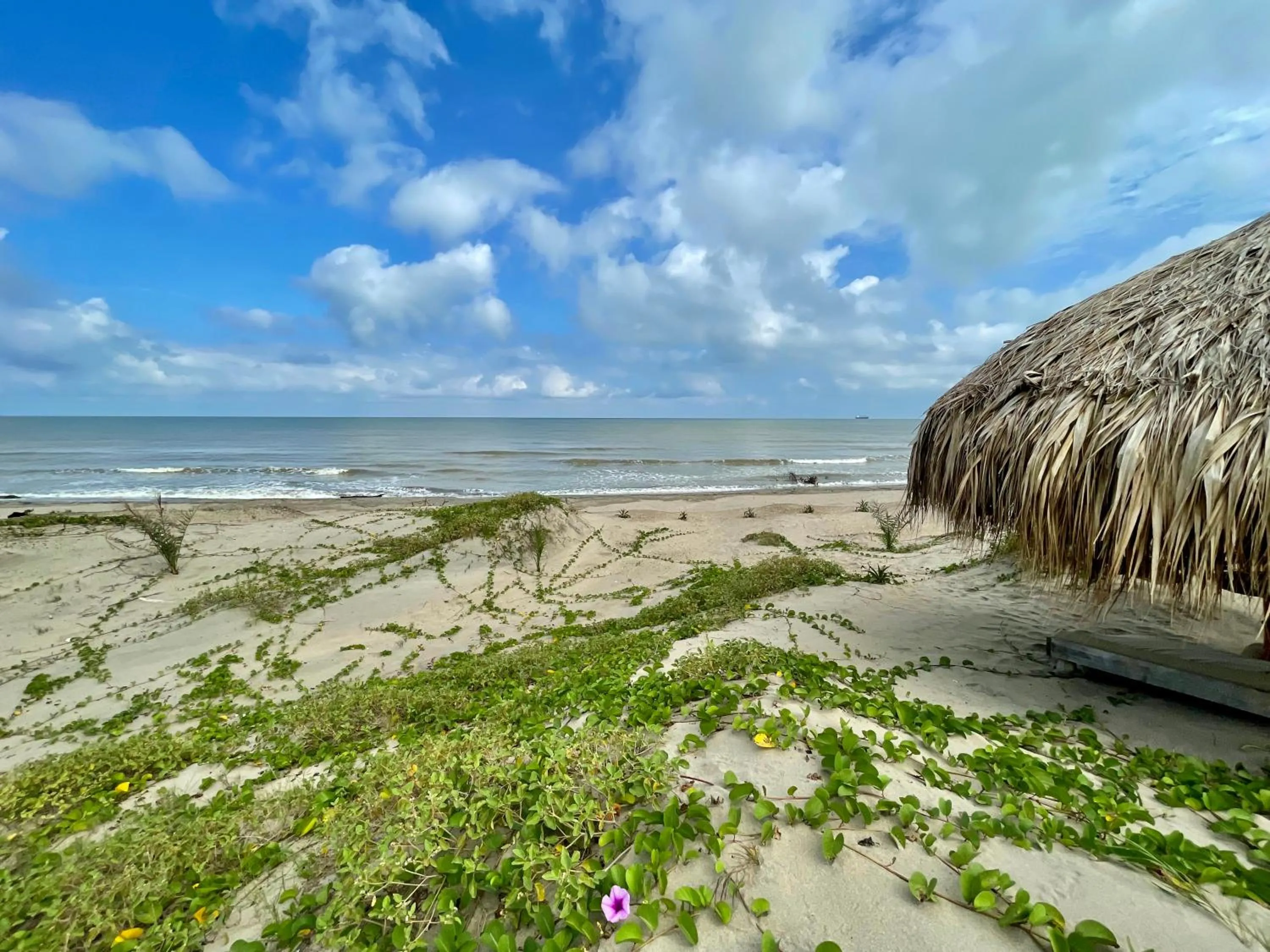 Sea view in Eco Xata