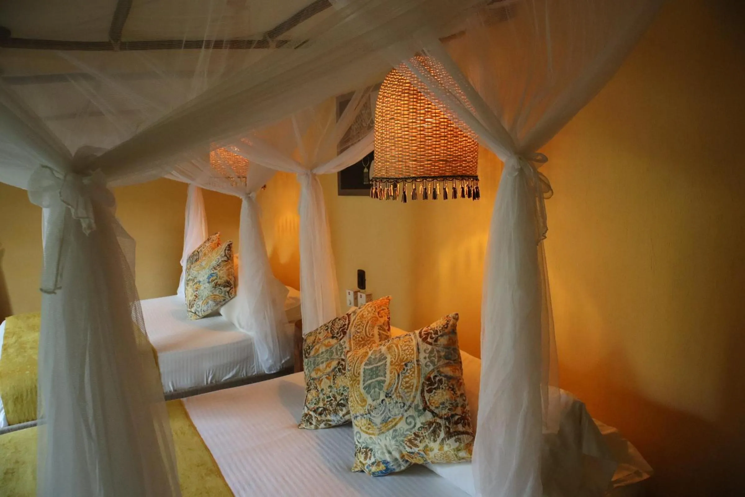 Photo of the whole room, Bed in Eco Xata