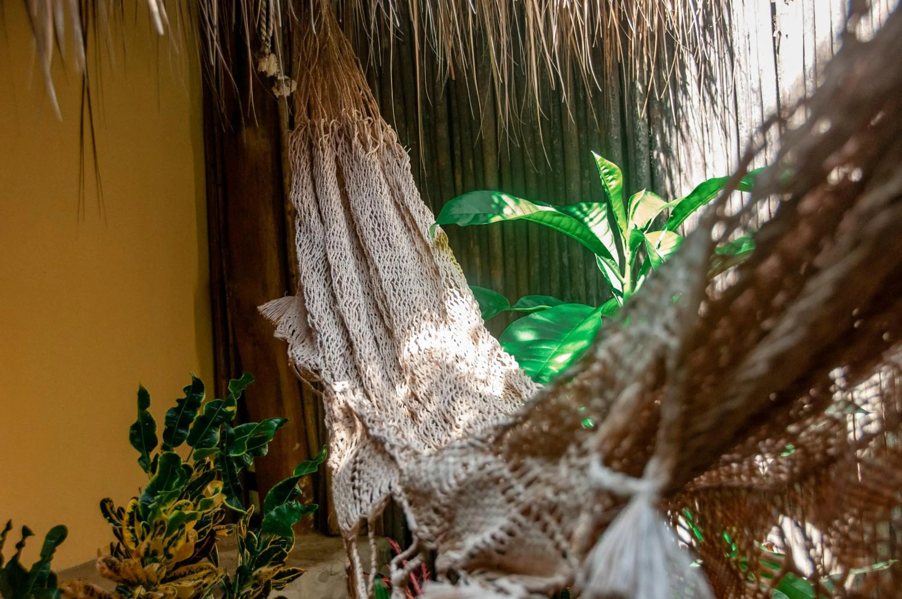 Seating area in Eco Xata