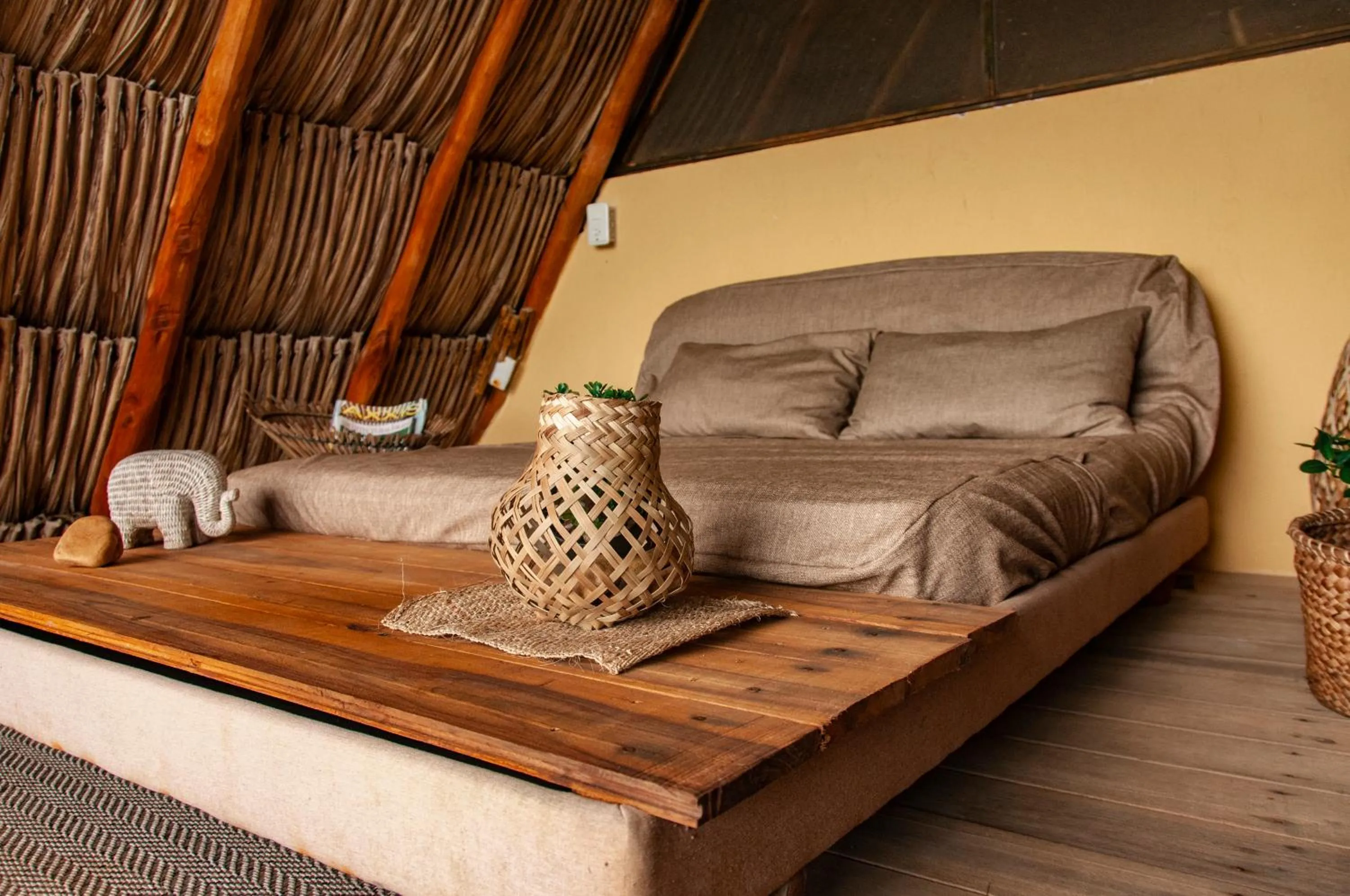 Living room, Bed in Eco Xata