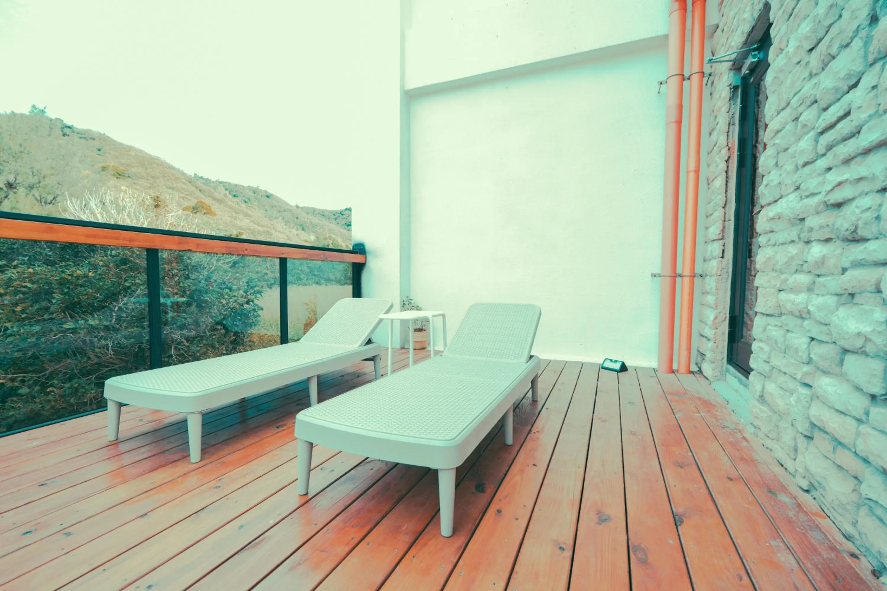 Balcony/Terrace in Shark B&B