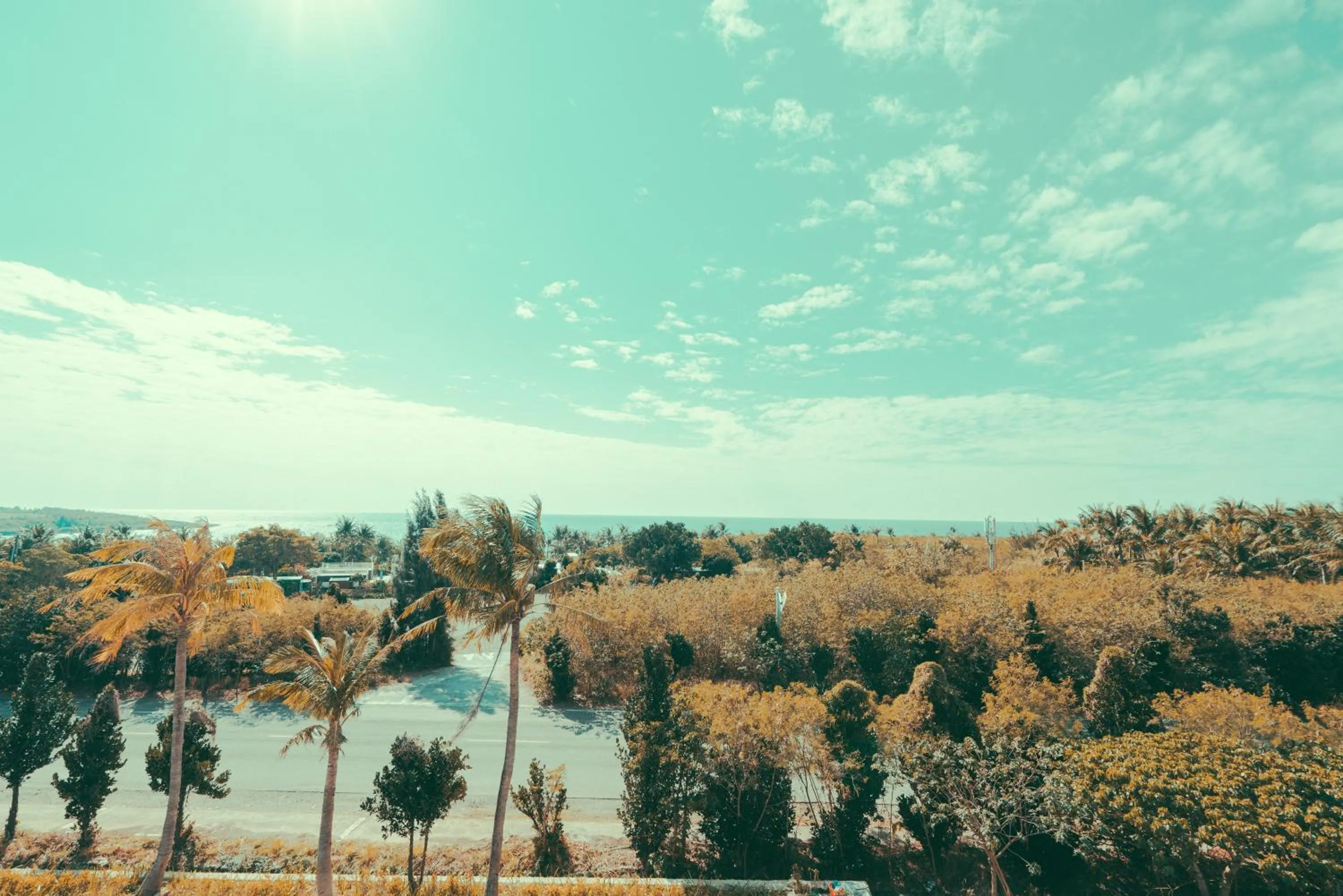 Sea view in Shark B&B