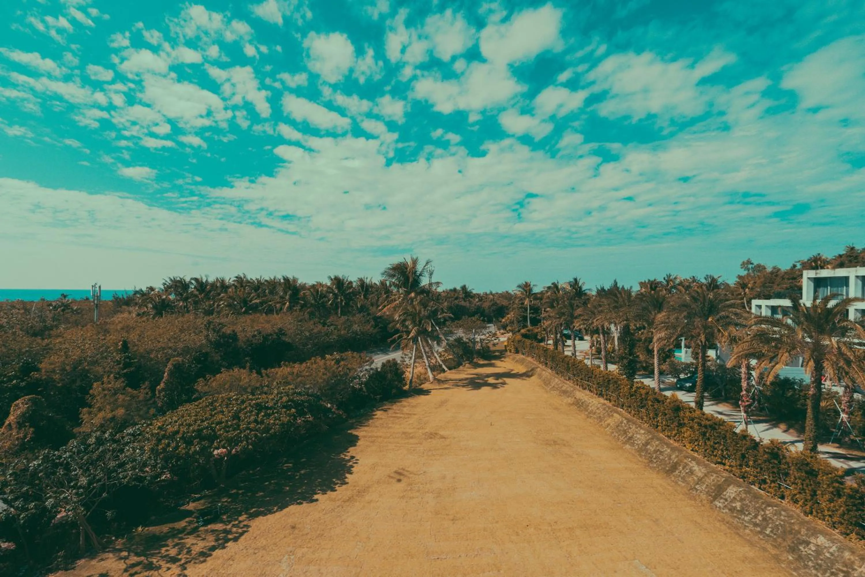 Garden view in Shark B&B