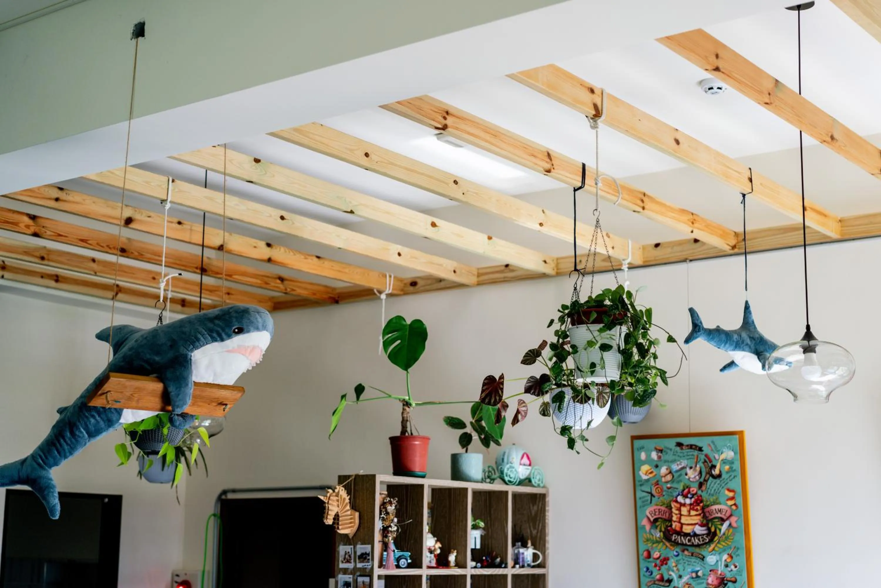 Restaurant/places to eat in Shark B&B