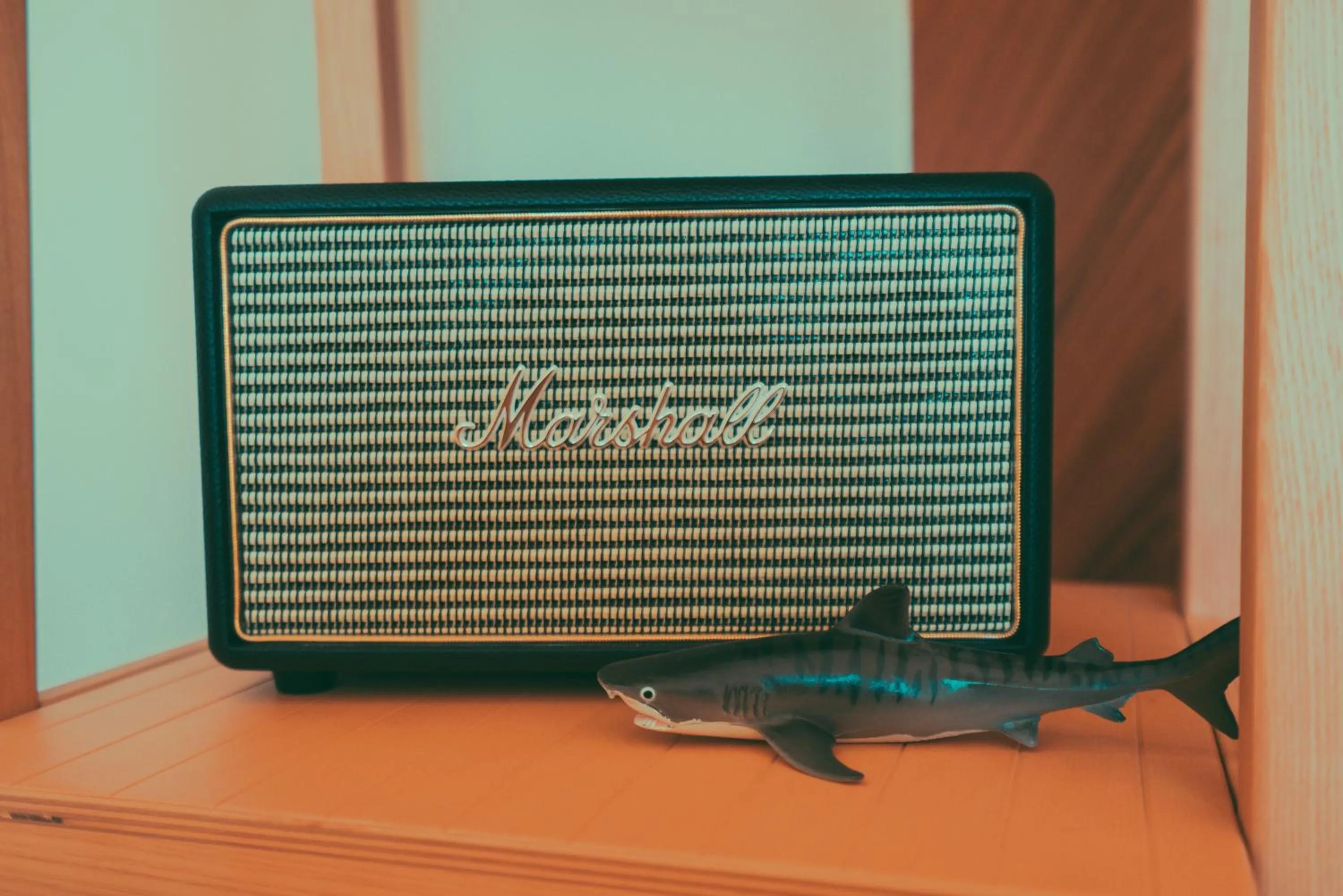 TV and multimedia in Shark B&B