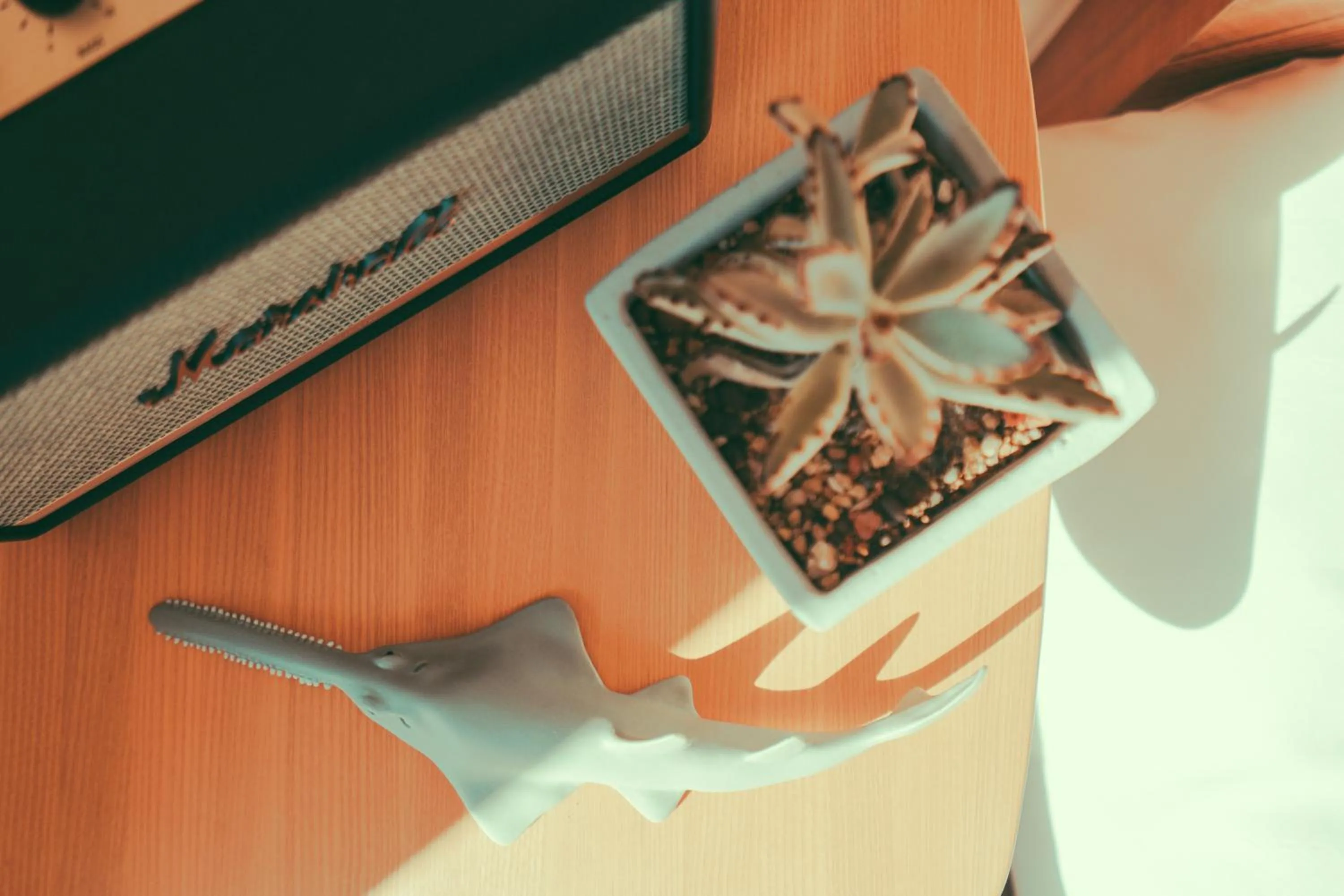 Decorative detail in Shark B&B