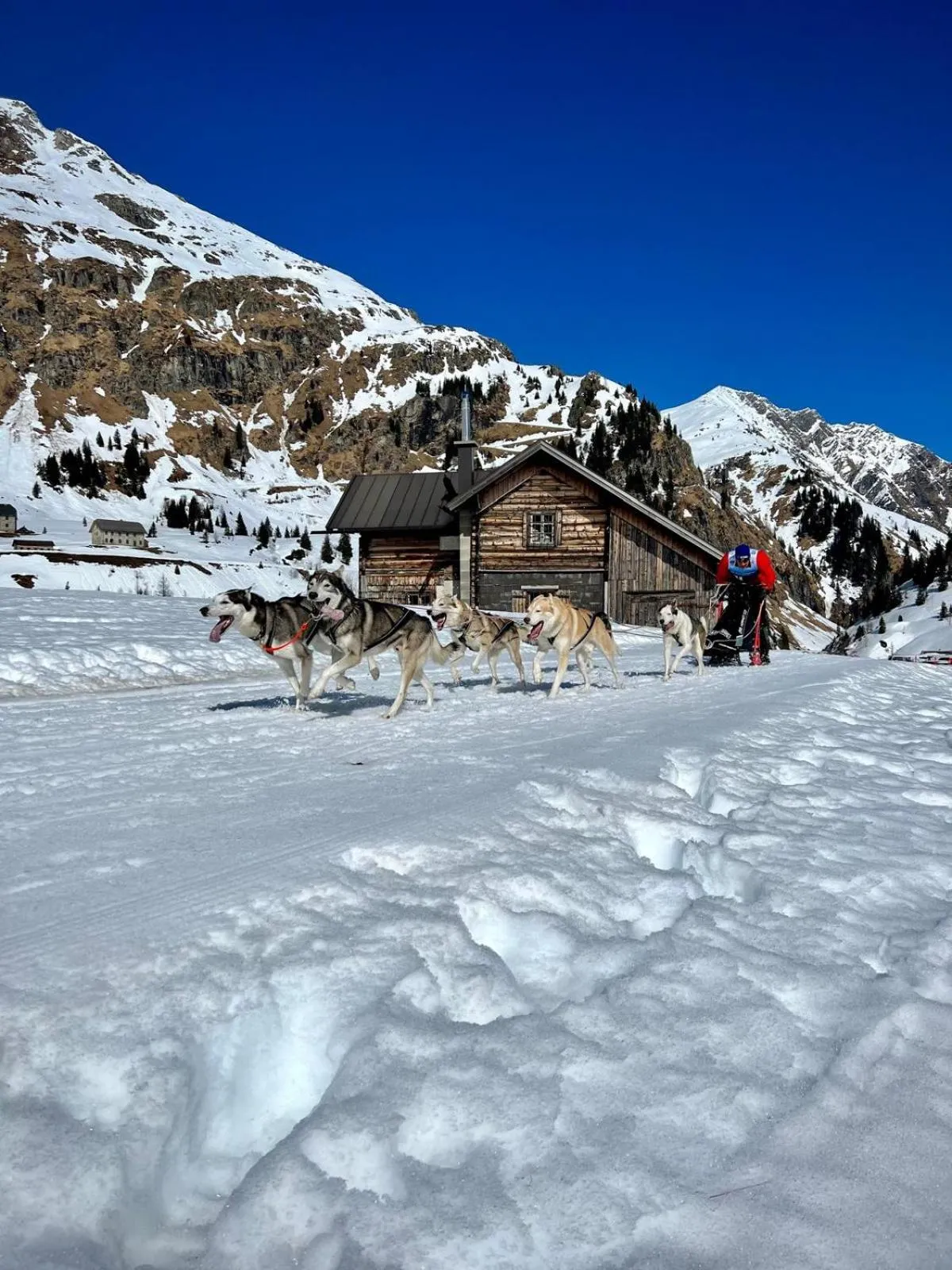 Area and facilities in Hotel Lindenhof