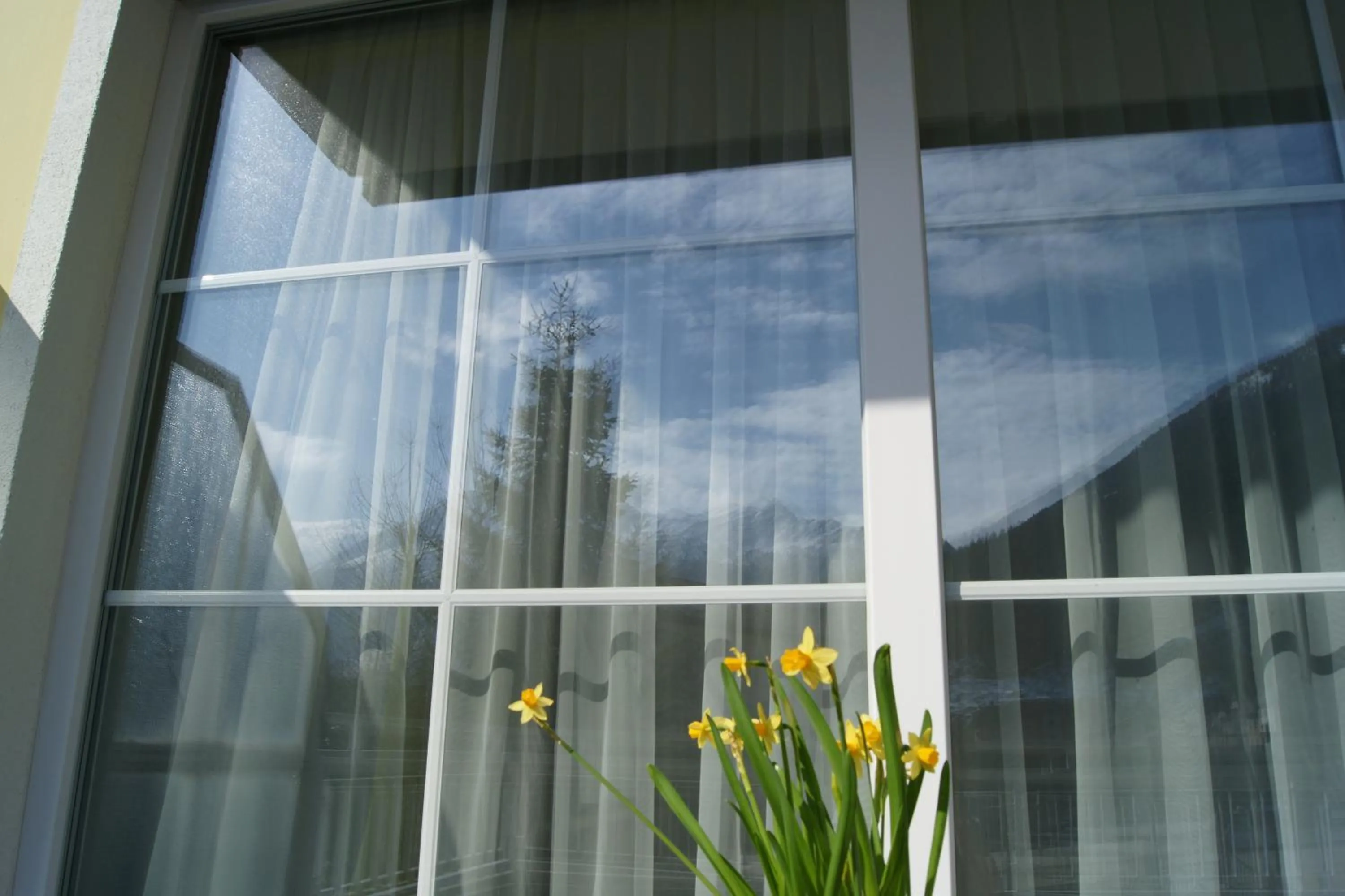 Balcony/Terrace in Hotel Lindenhof