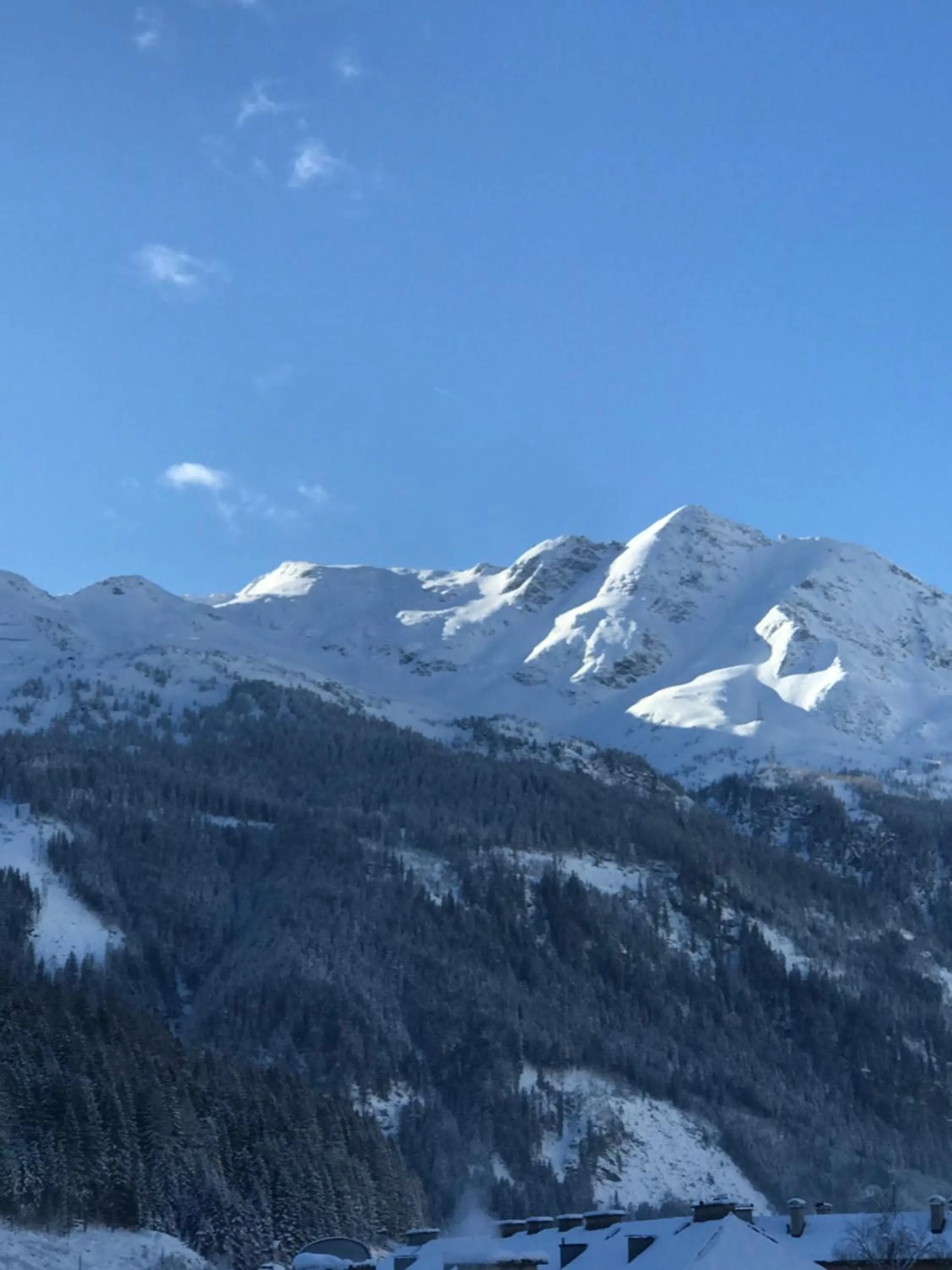 Natural landscape in Hotel Lindenhof