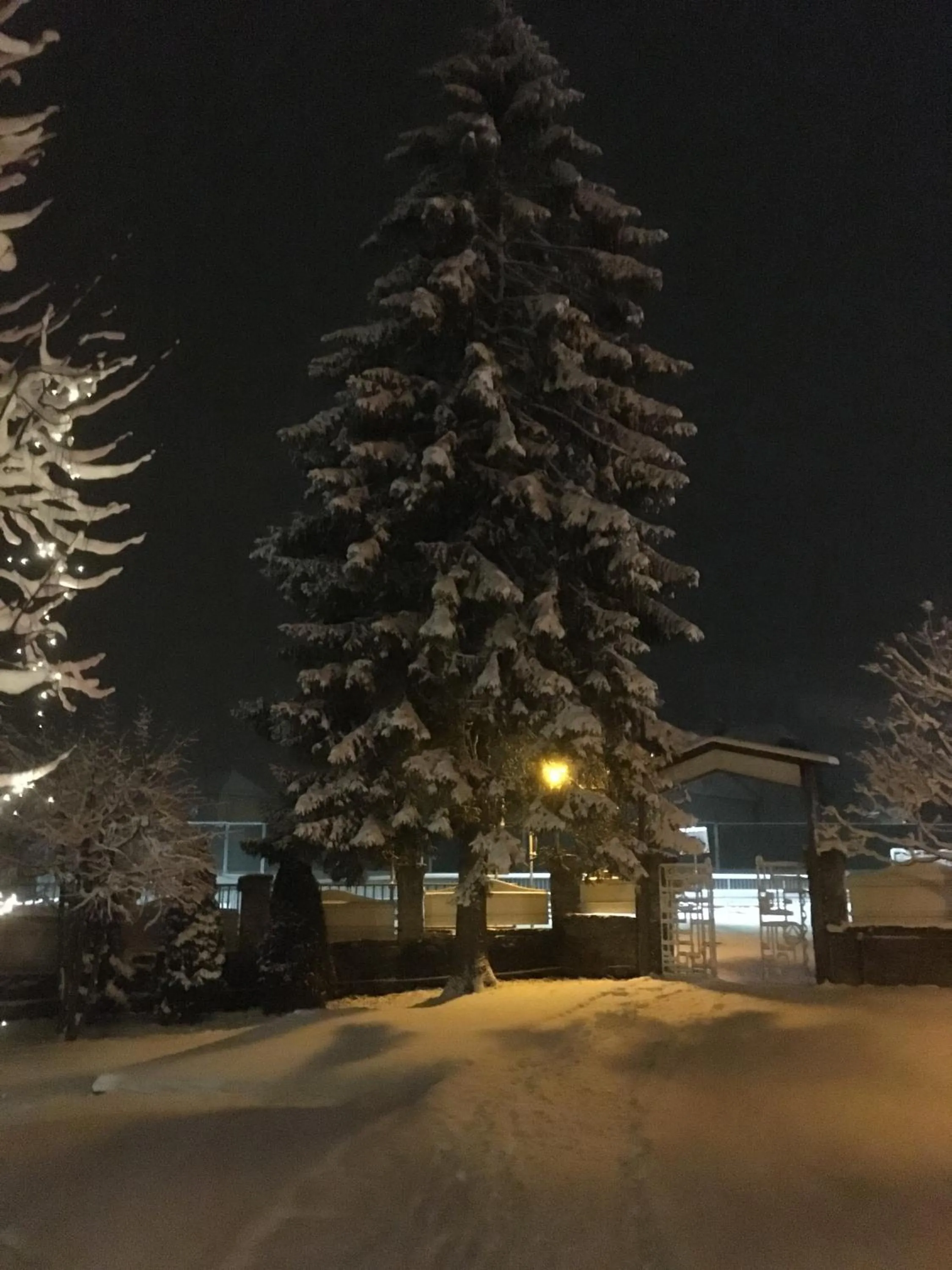 Property building in Hotel Lindenhof