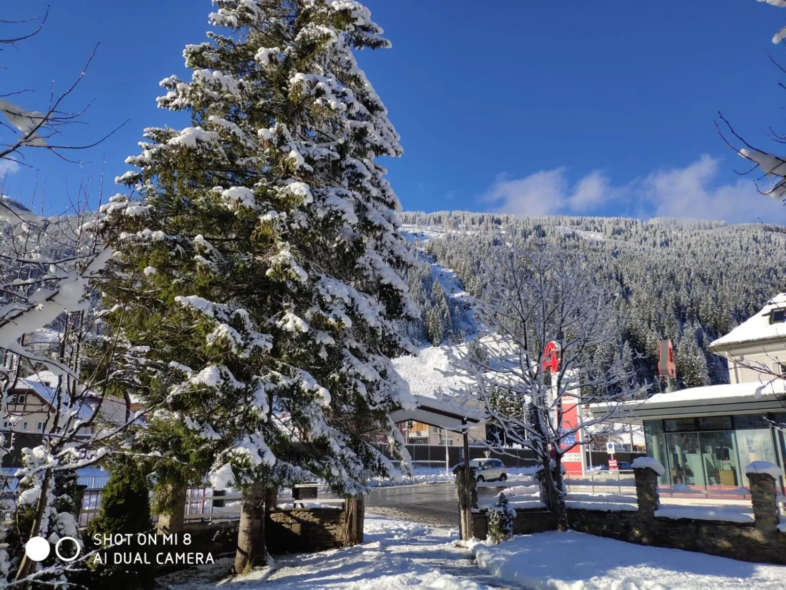 View (from property/room) in Hotel Lindenhof