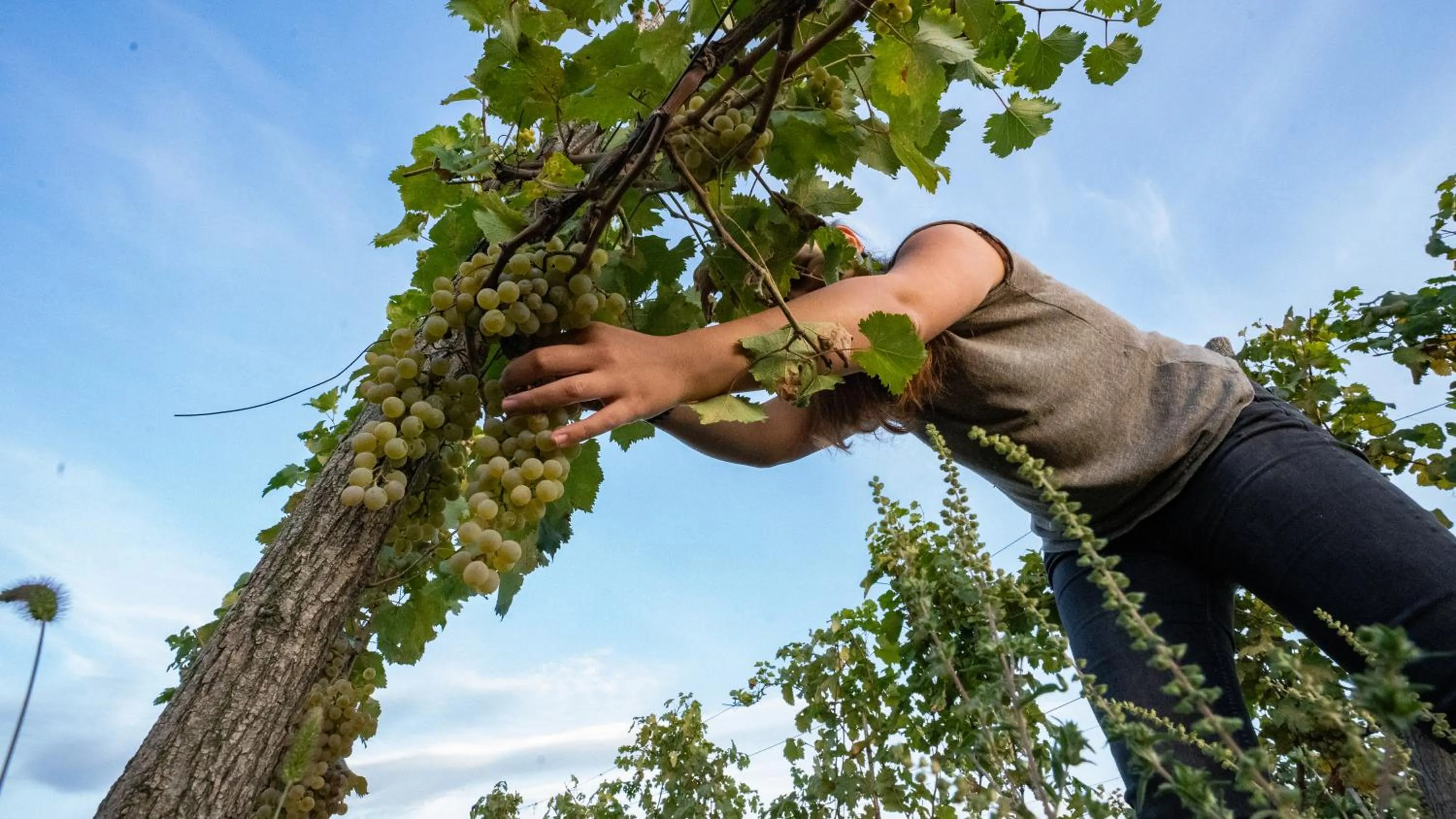 Property building in Château Mosmieri Hotel & Winery