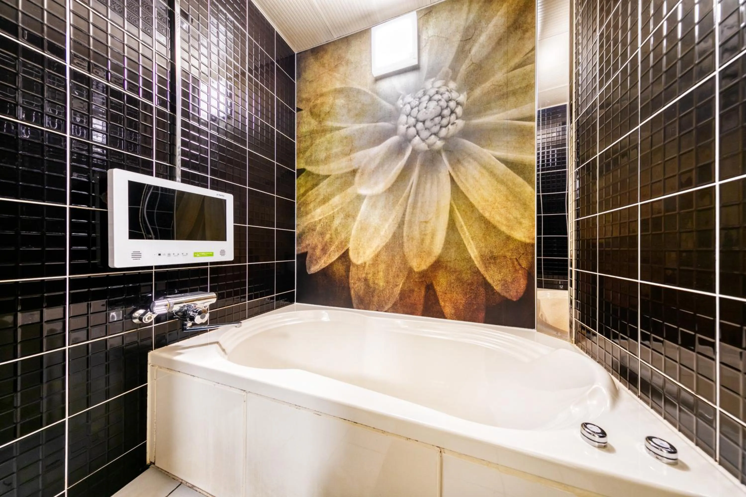 HOTEL LUNA MODERN Sakuranomiya (Adult Only)