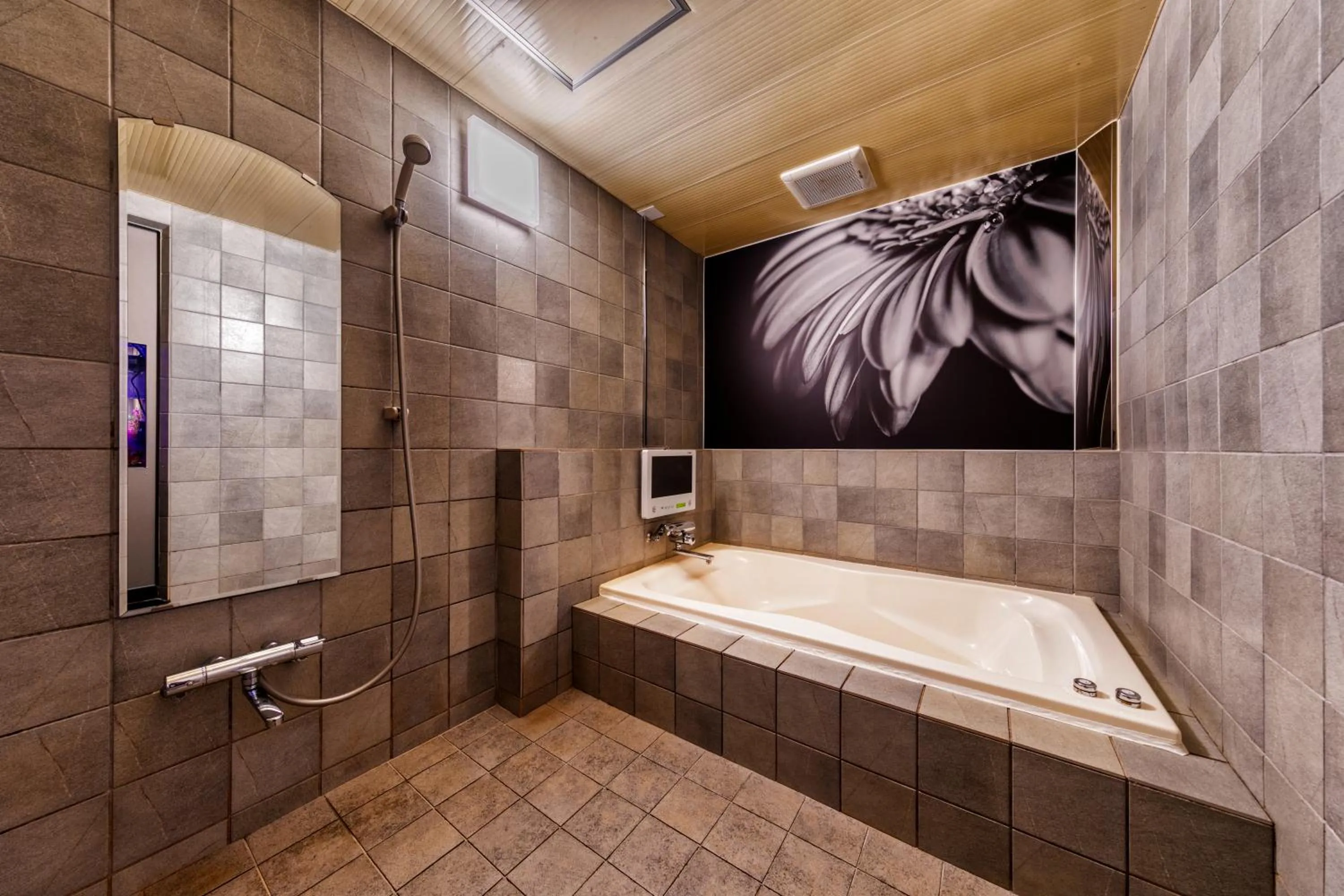 HOTEL LUNA MODERN Sakuranomiya (Adult Only)