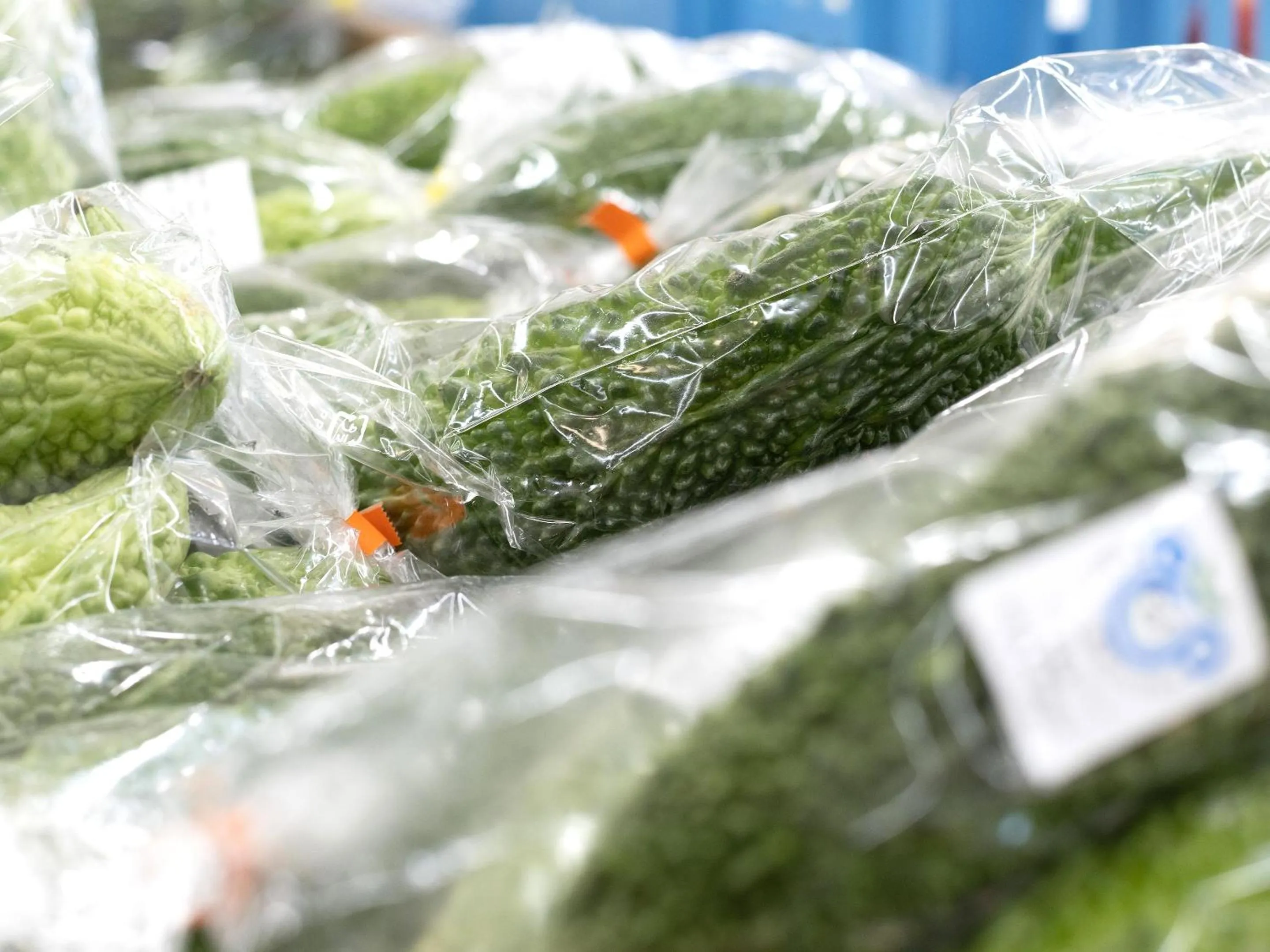 Off site in Dolcevita