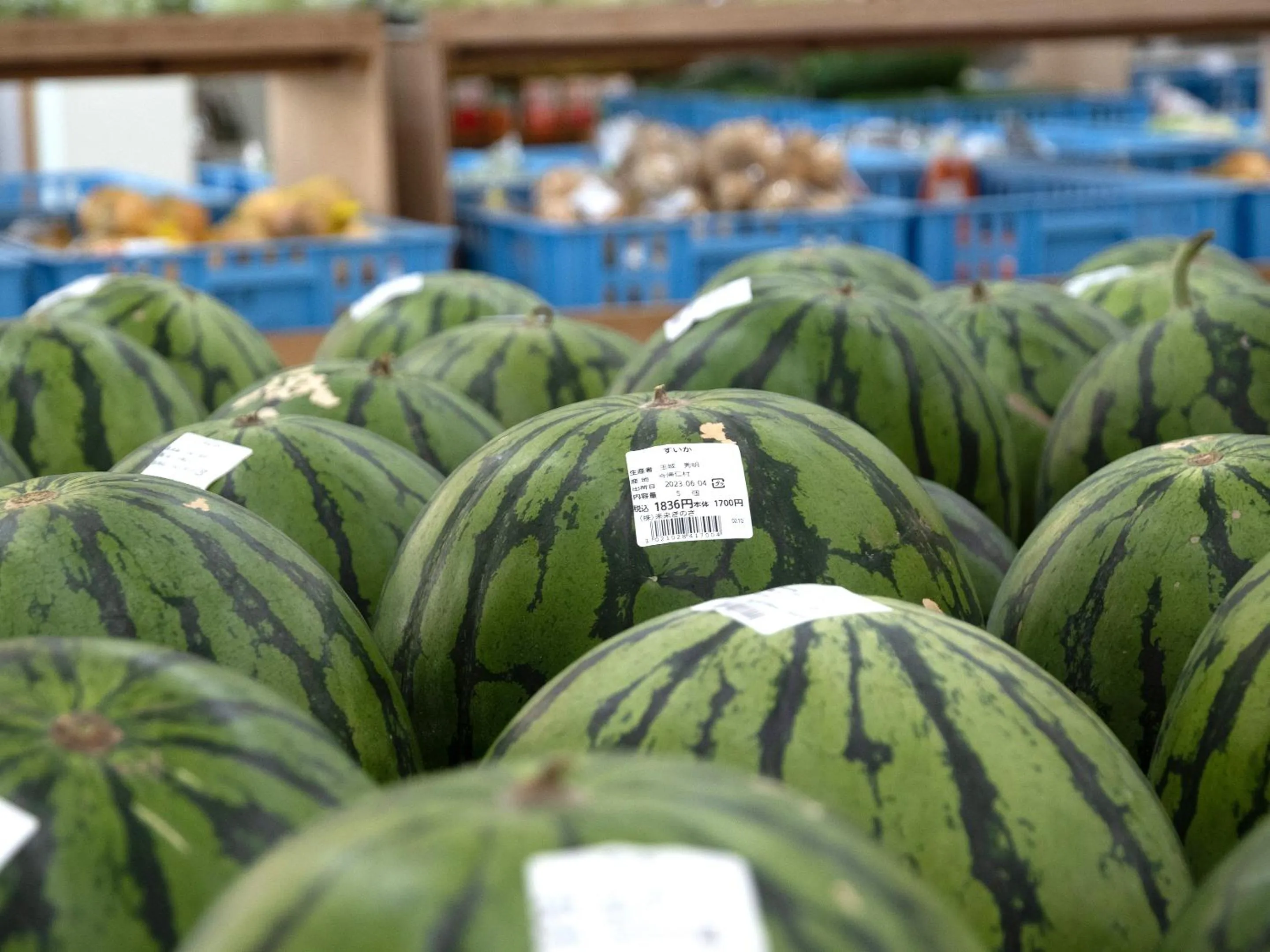 Off site in Dolcevita