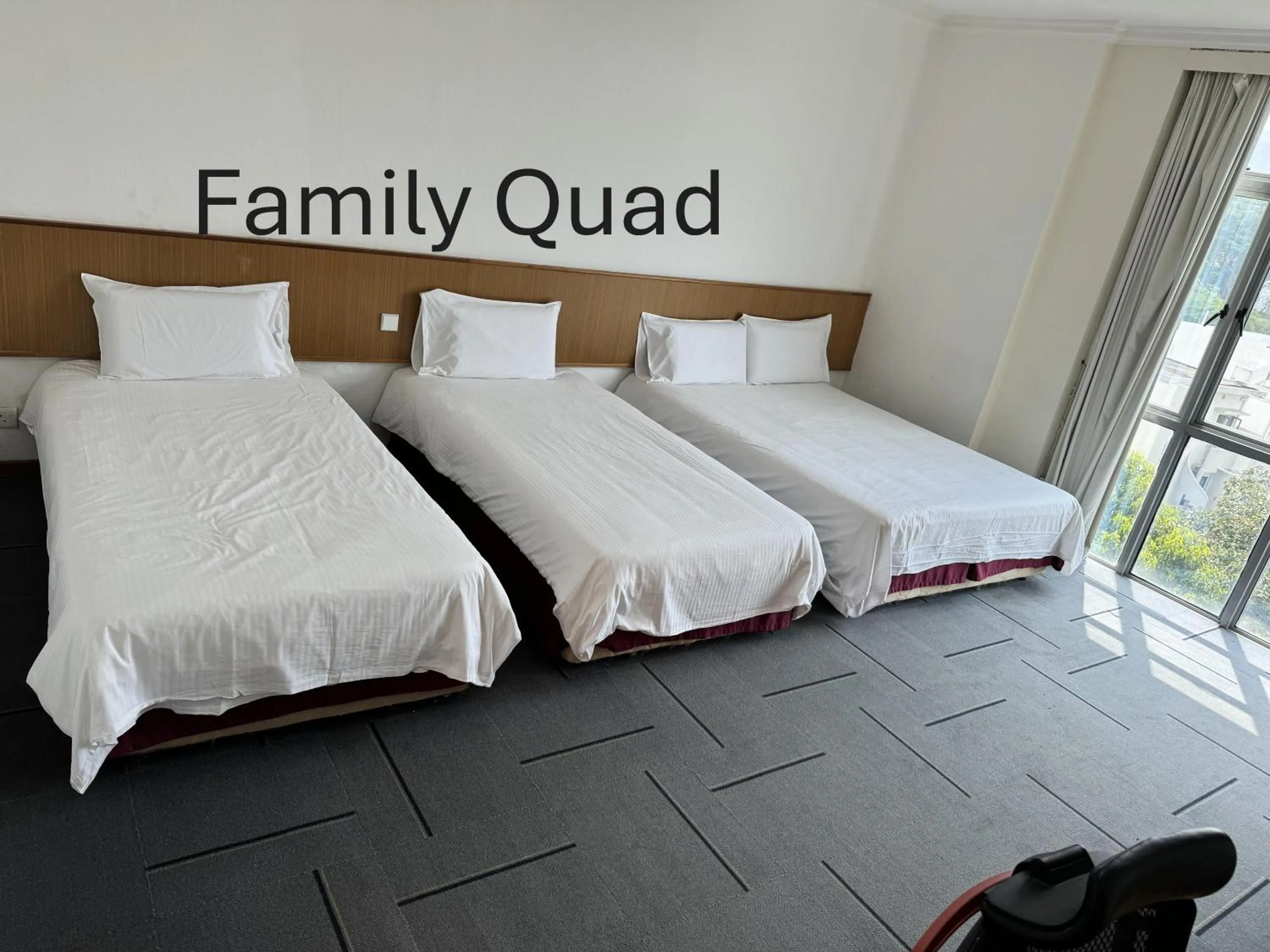 Guests, Bed in New Cape Inn