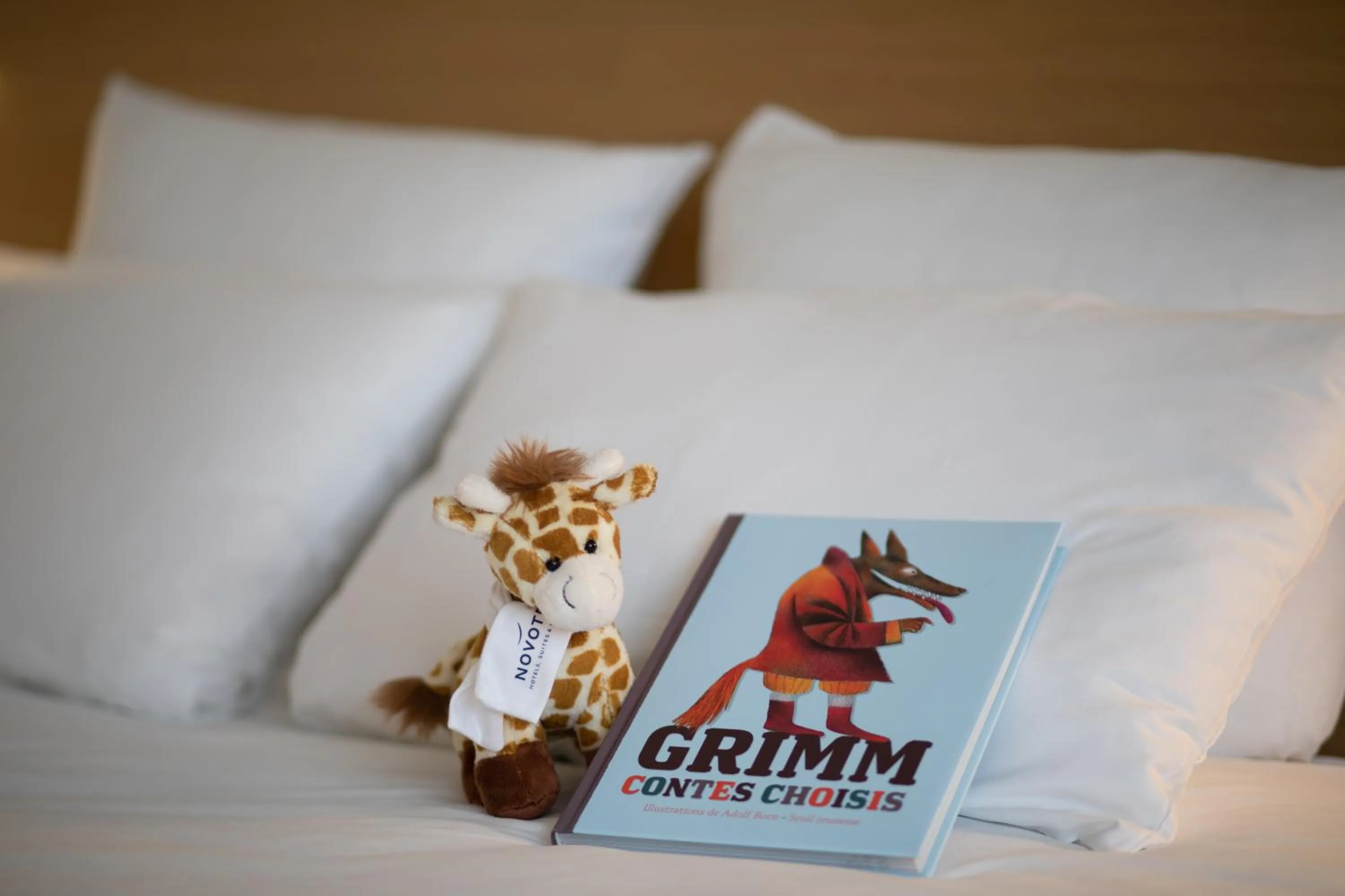 cot in Novotel Genève Aéroport France